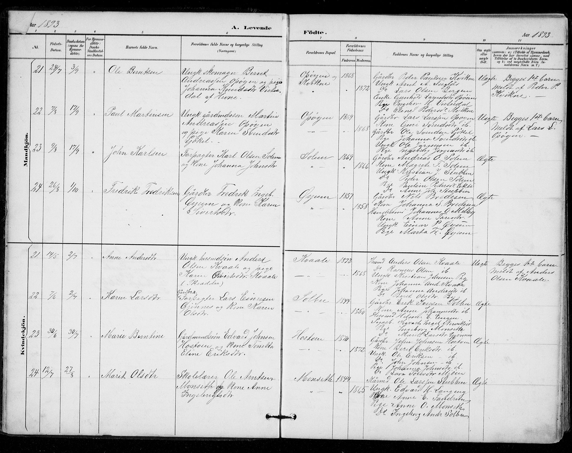 Ministerialprotokoller, klokkerbøker og fødselsregistre - Sør-Trøndelag, AV/SAT-A-1456/671/L0841: Ministerialbok nr. 671A03, 1893-1915