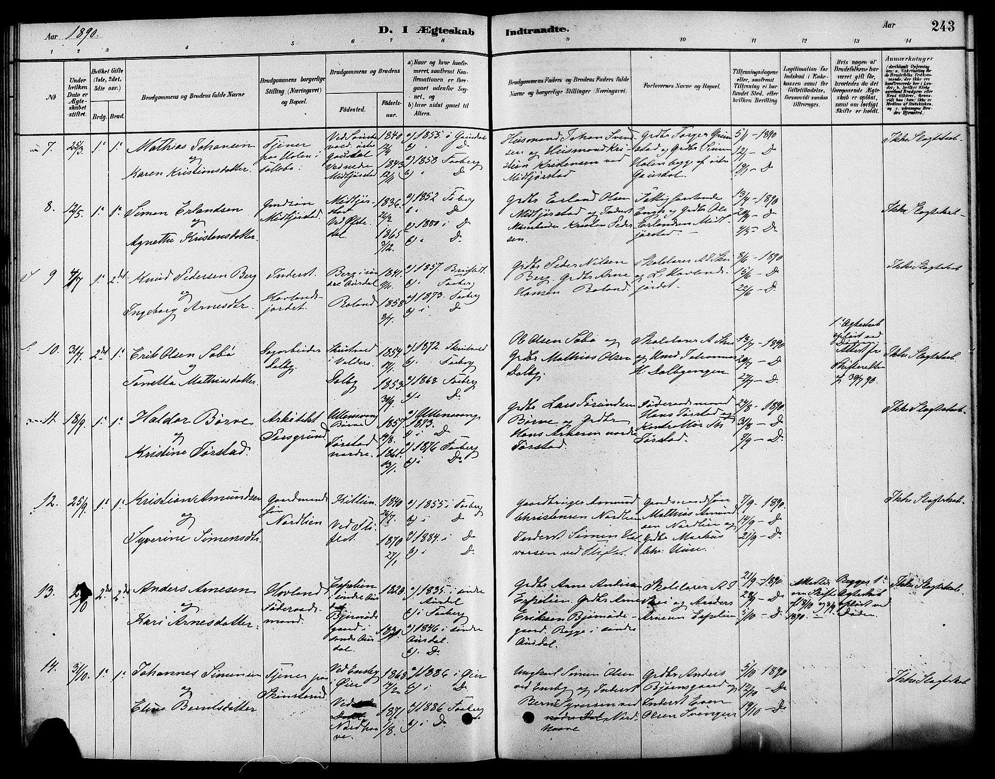 Fåberg prestekontor, AV/SAH-PREST-086/H/Ha/Haa/L0008: Ministerialbok nr. 8, 1879-1898, s. 243