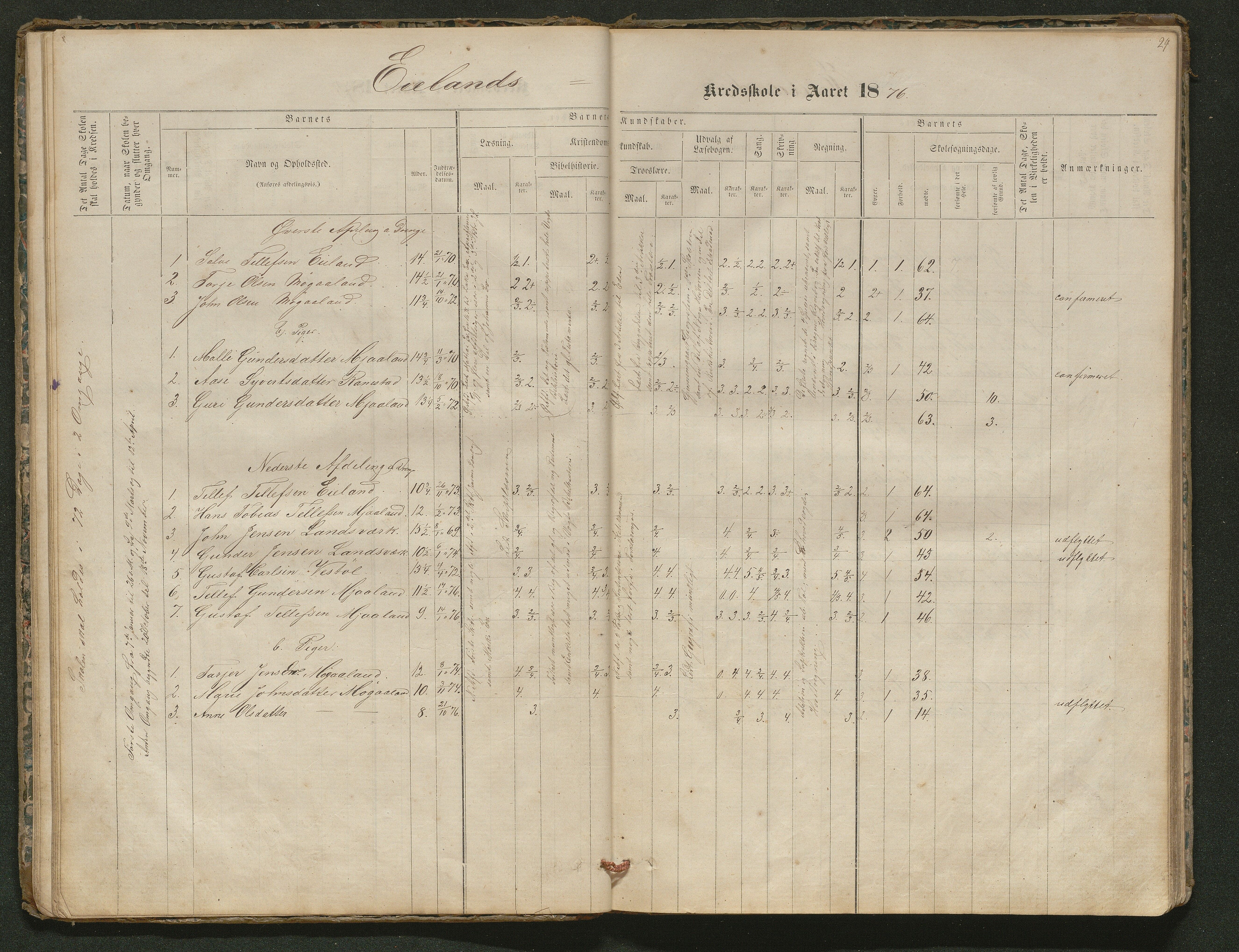 Iveland kommune, De enkelte kretsene/Skolene, AAKS/KA0935-550/A_5/L0003: Dagbok for Vatnstraum og Eieland krets, 1864-1891, s. 24