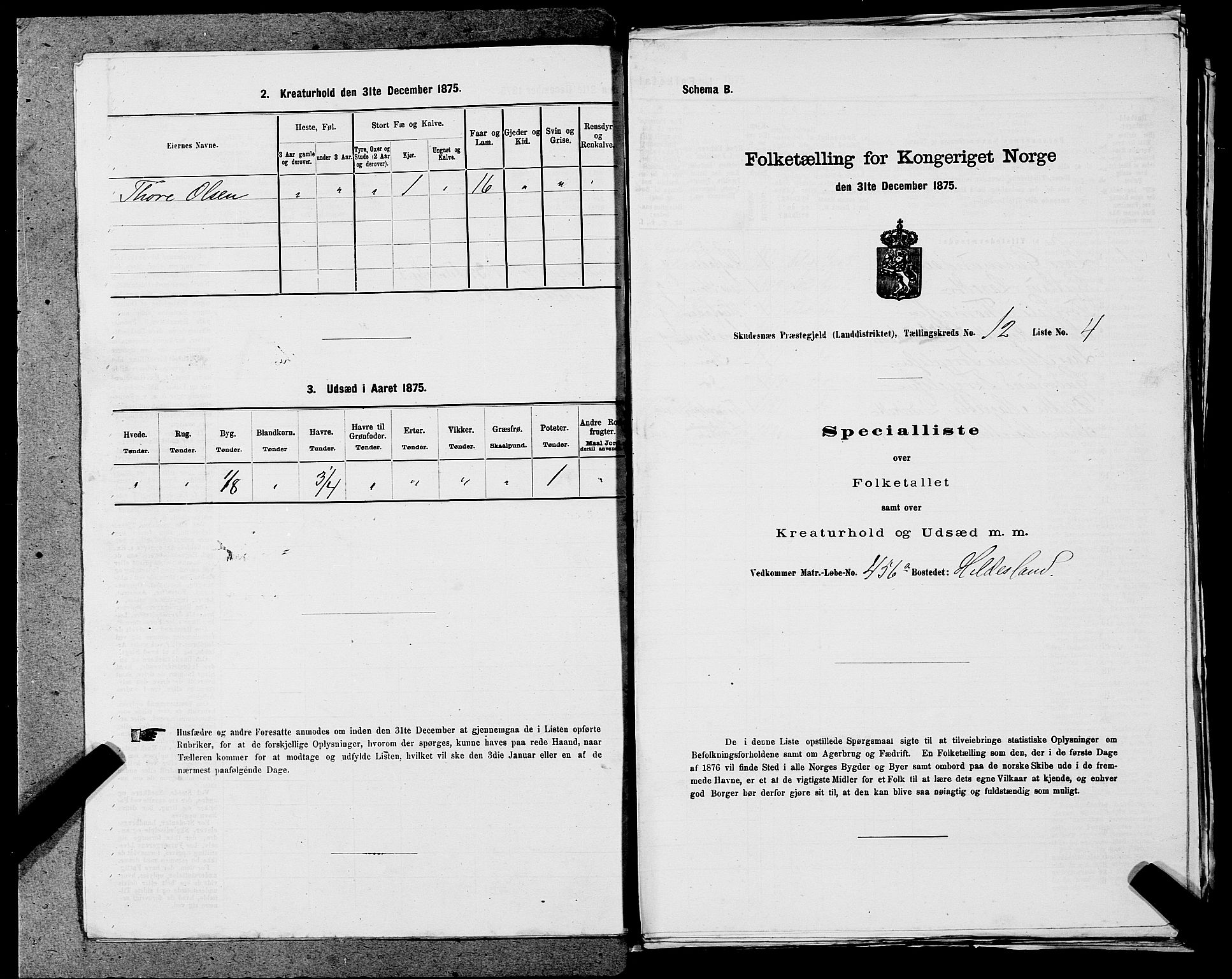 SAST, Folketelling 1875 for 1150L Skudenes prestegjeld, Falnes sokn, Åkra sokn og Ferkingstad sokn, 1875, s. 1645