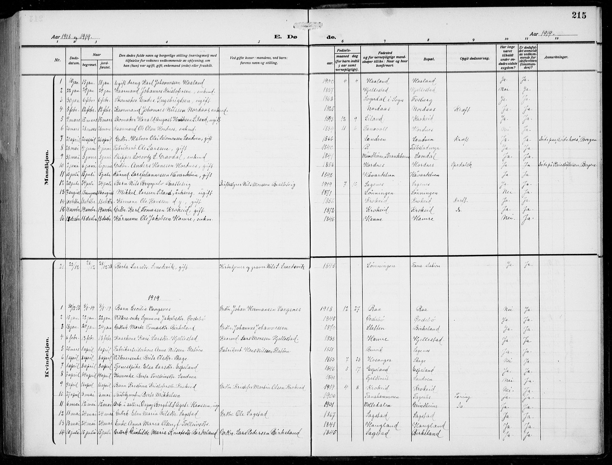 Fana Sokneprestembete, AV/SAB-A-75101/H/Hab/Haba/L0005: Klokkerbok nr. A 5, 1911-1932, s. 215