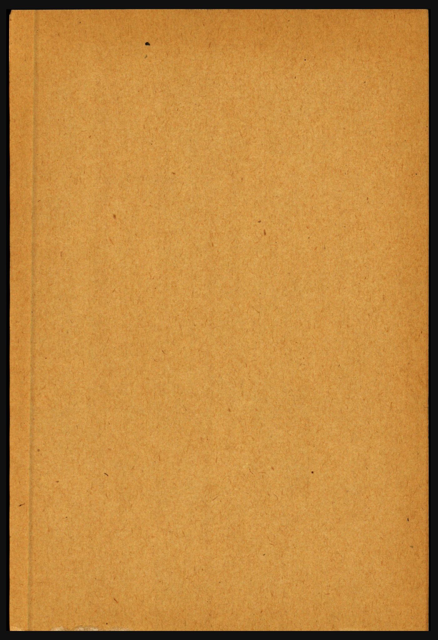 RA, Folketelling 1891 for 1425 Hafslo herred, 1891, s. 541