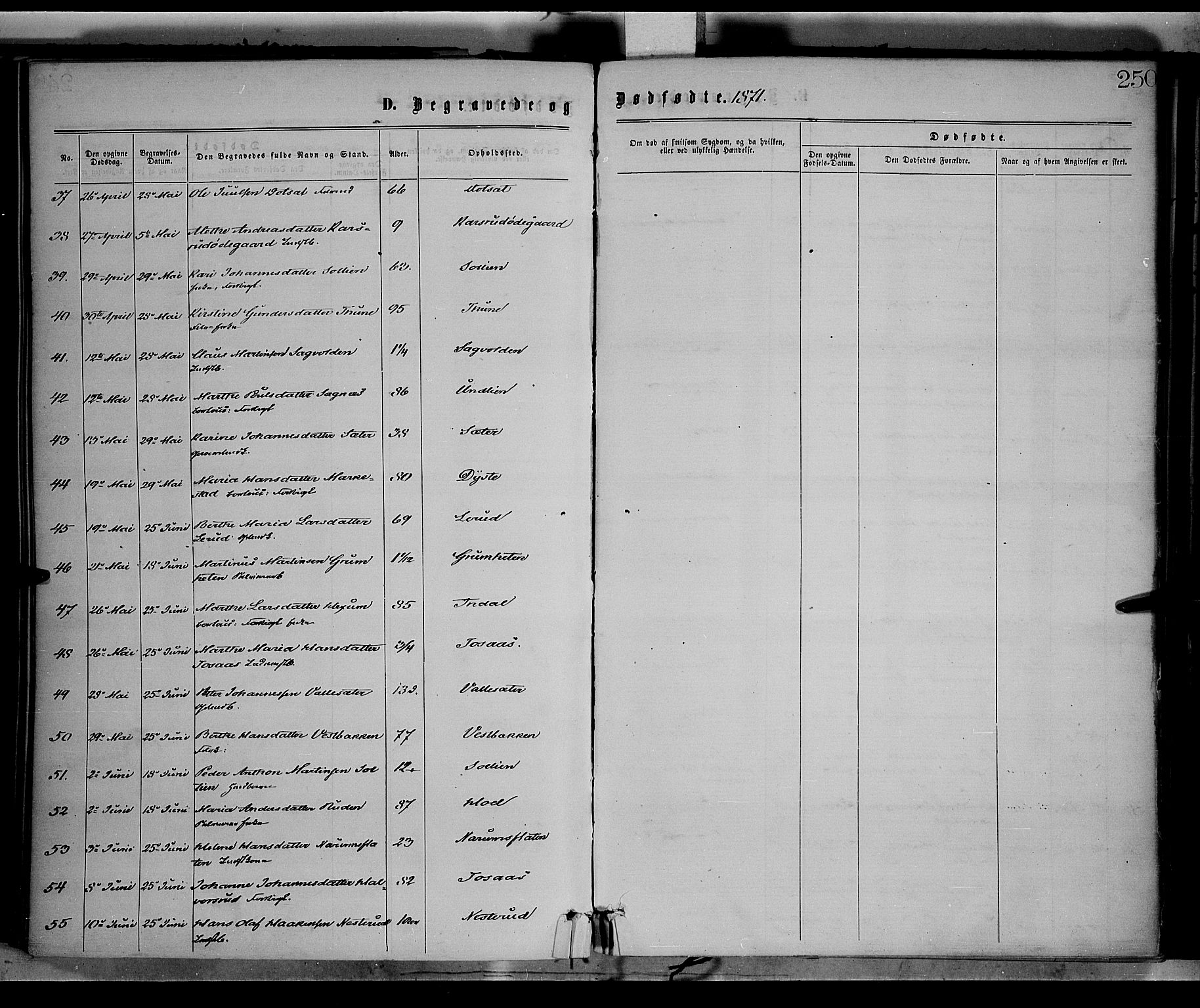 Vestre Toten prestekontor, AV/SAH-PREST-108/H/Ha/Haa/L0008: Ministerialbok nr. 8, 1870-1877, s. 250