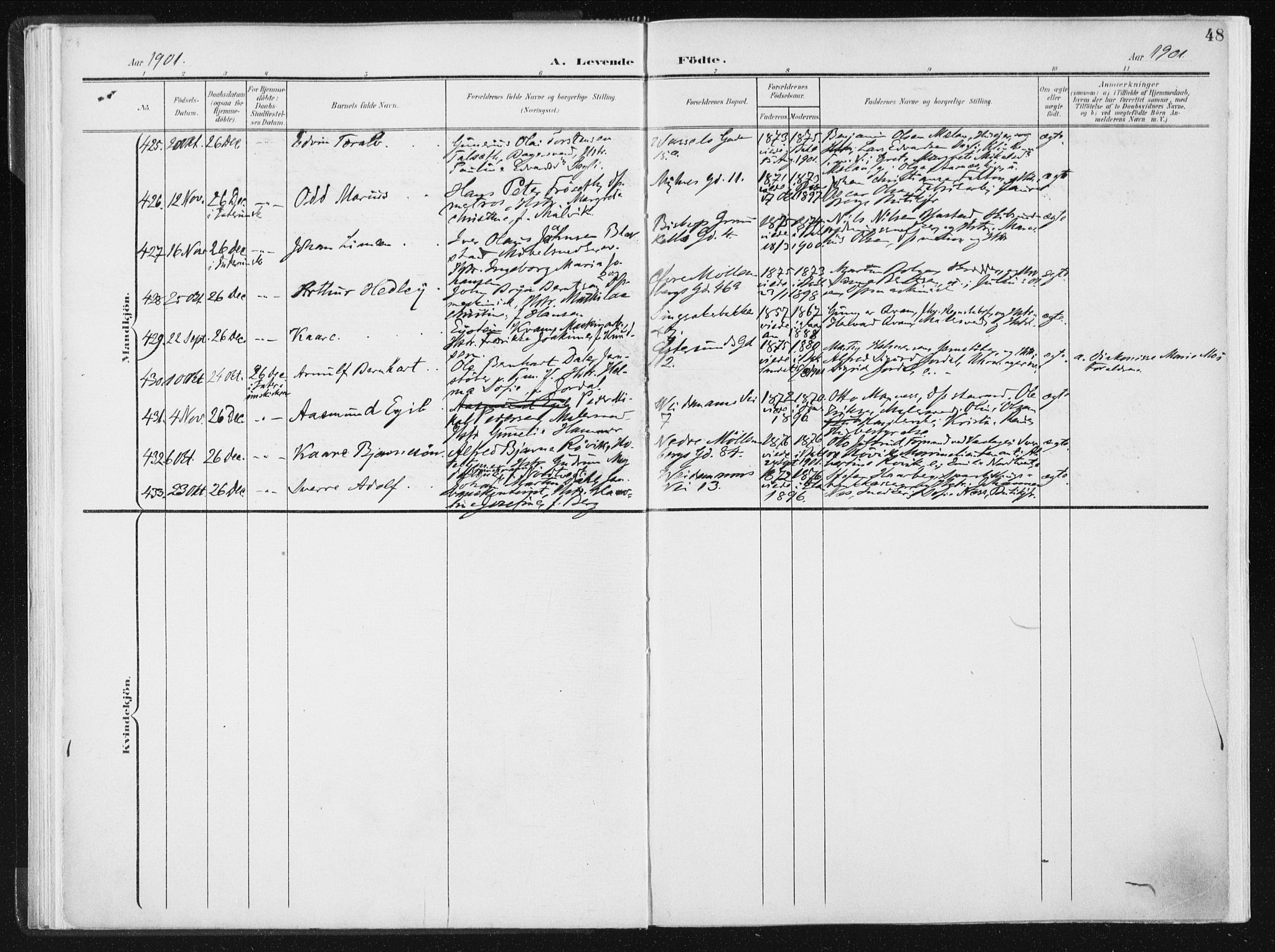 Ministerialprotokoller, klokkerbøker og fødselsregistre - Sør-Trøndelag, SAT/A-1456/604/L0199: Ministerialbok nr. 604A20I, 1901-1906, s. 48