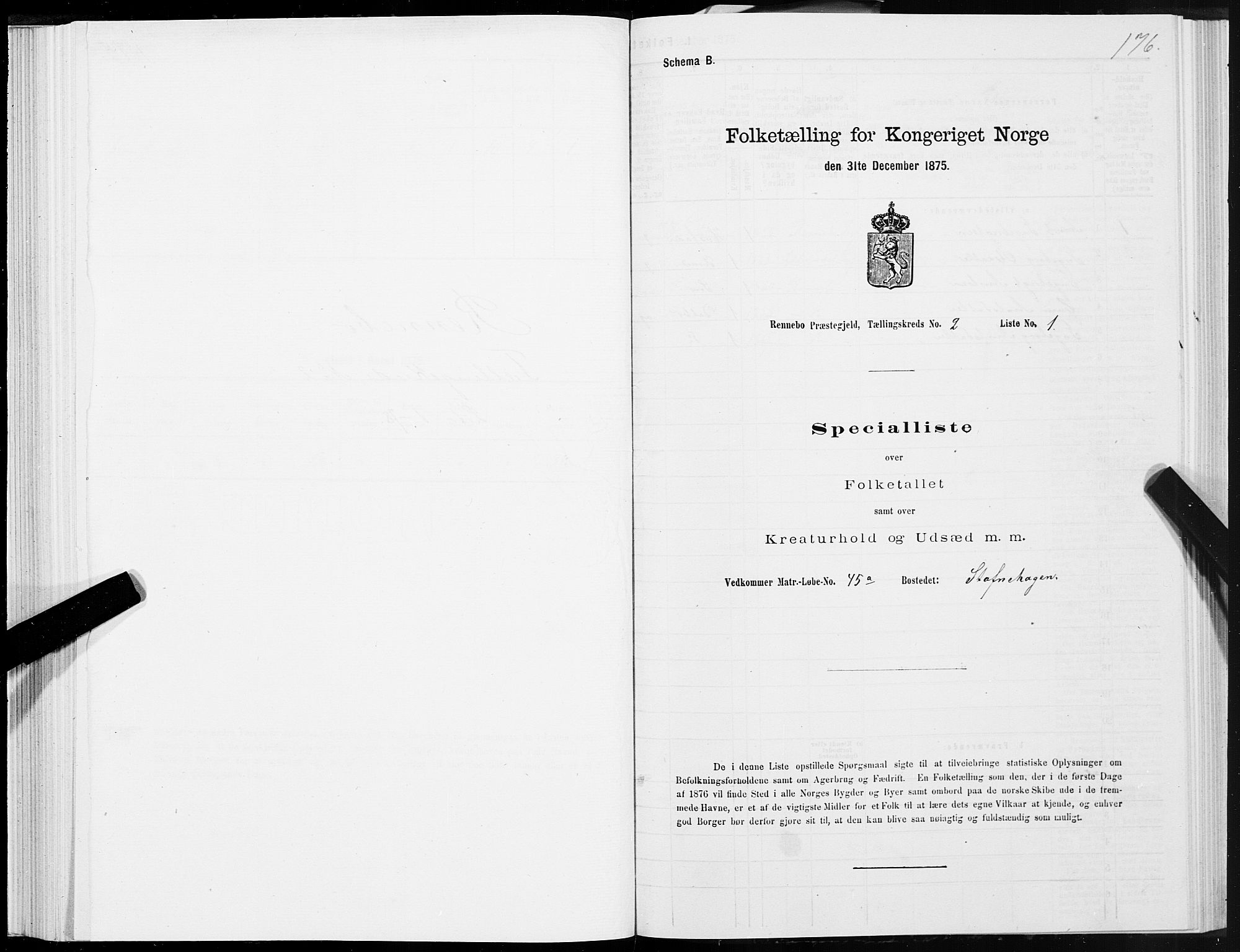 SAT, Folketelling 1875 for 1635P Rennebu prestegjeld, 1875, s. 1176