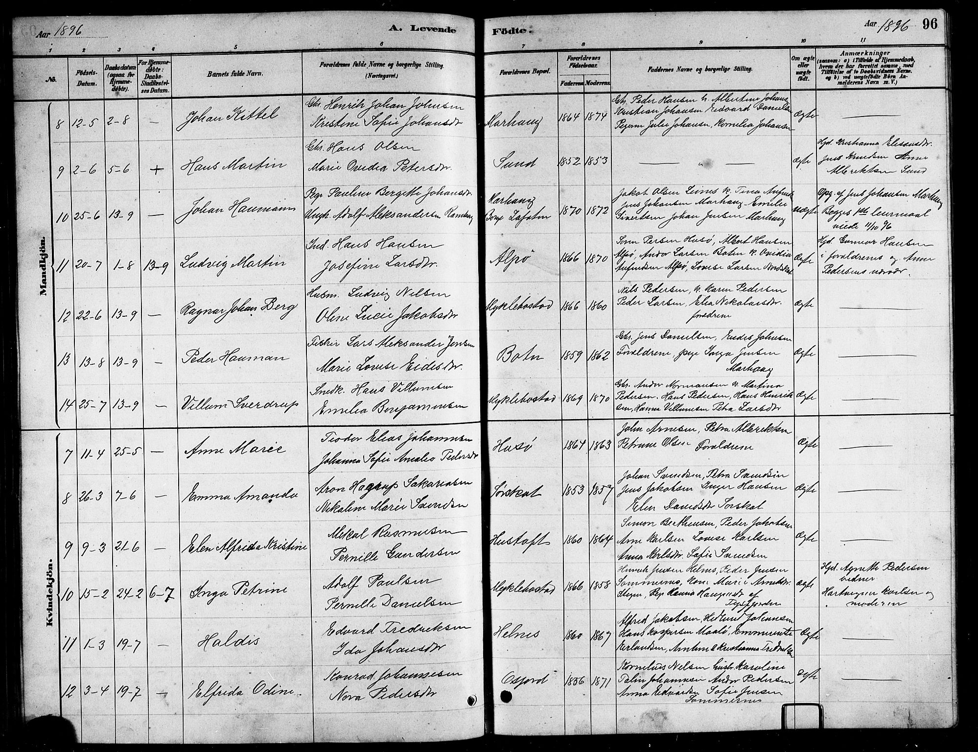 Ministerialprotokoller, klokkerbøker og fødselsregistre - Nordland, AV/SAT-A-1459/857/L0828: Klokkerbok nr. 857C03, 1879-1908, s. 96