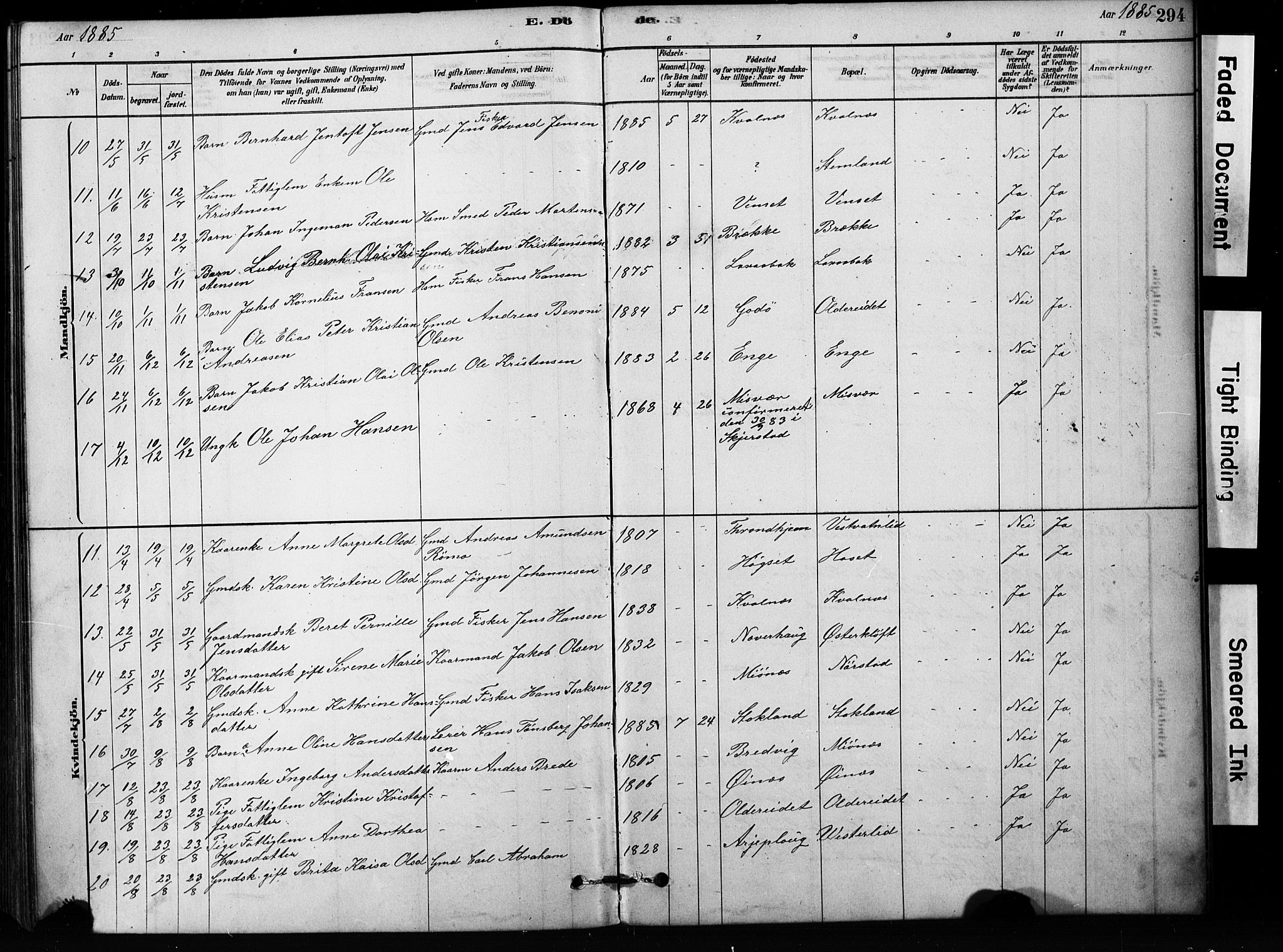 Ministerialprotokoller, klokkerbøker og fødselsregistre - Nordland, AV/SAT-A-1459/852/L0754: Klokkerbok nr. 852C05, 1878-1894, s. 294