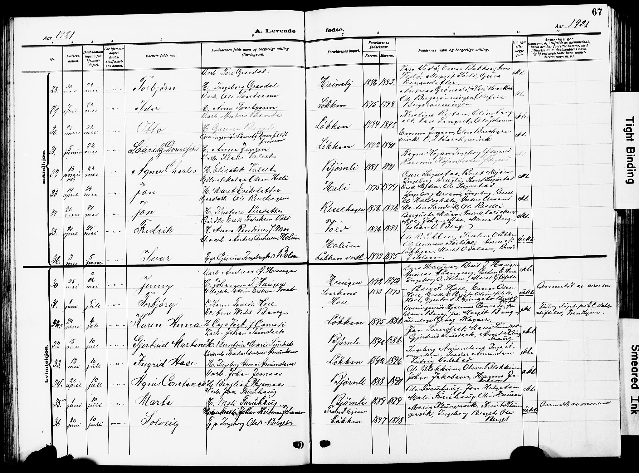 Ministerialprotokoller, klokkerbøker og fødselsregistre - Sør-Trøndelag, AV/SAT-A-1456/672/L0865: Klokkerbok nr. 672C04, 1914-1928, s. 67