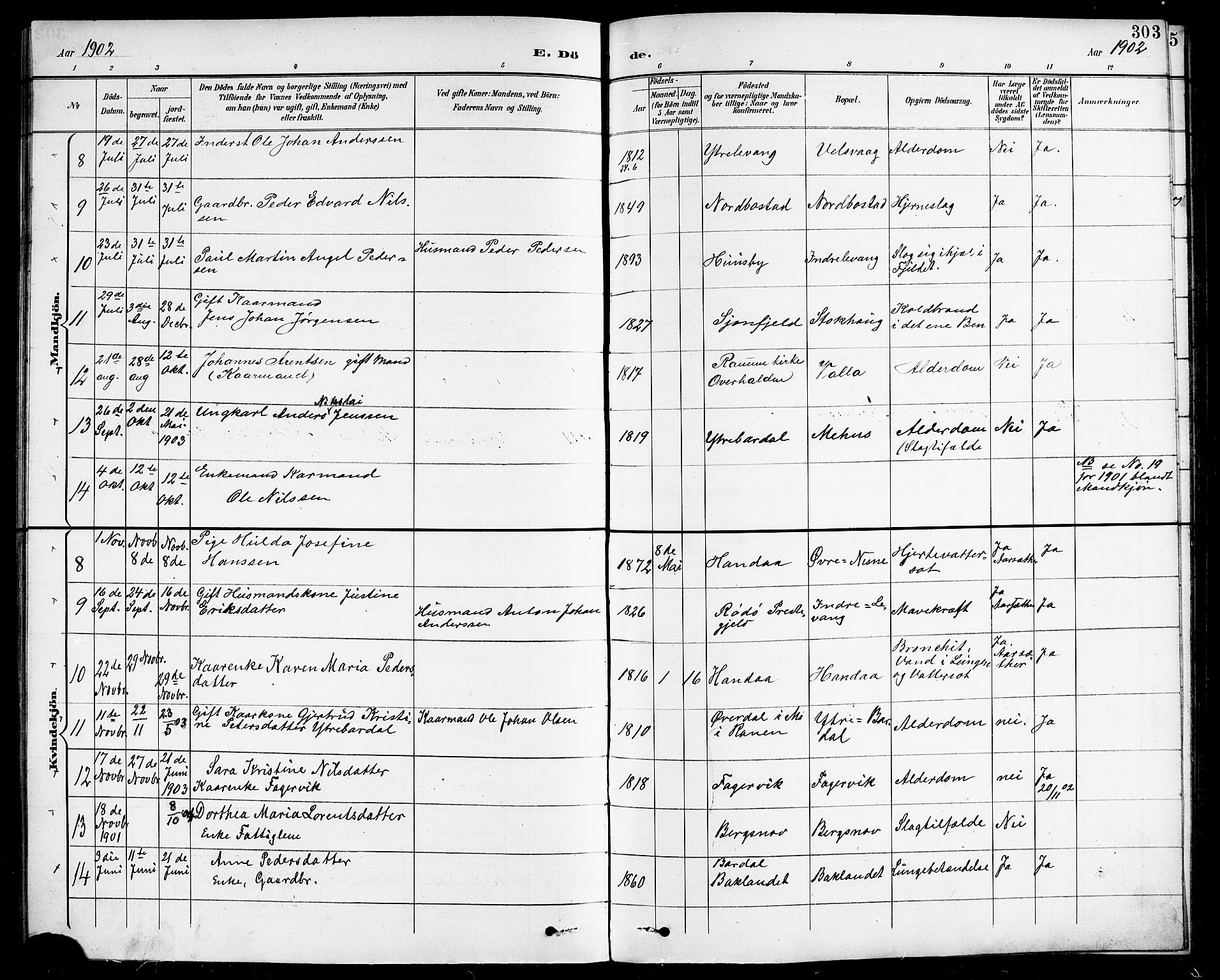 Ministerialprotokoller, klokkerbøker og fødselsregistre - Nordland, SAT/A-1459/838/L0559: Klokkerbok nr. 838C06, 1893-1910, s. 303
