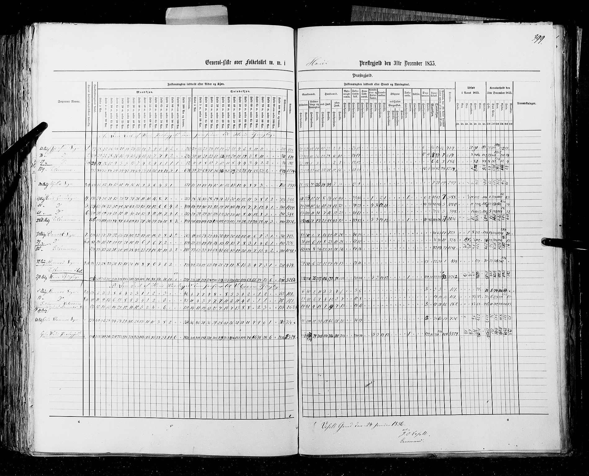 RA, Folketellingen 1855, bind 4: Stavanger amt og Søndre Bergenhus amt, 1855, s. 399