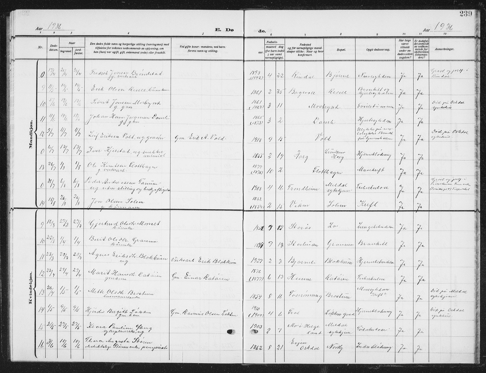 Ministerialprotokoller, klokkerbøker og fødselsregistre - Sør-Trøndelag, AV/SAT-A-1456/672/L0866: Klokkerbok nr. 672C05, 1929-1939, s. 239