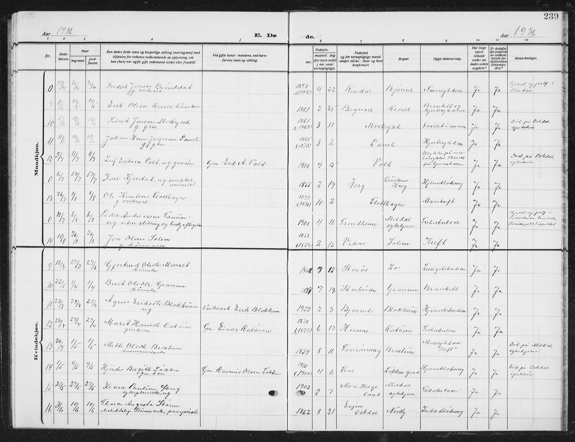 Ministerialprotokoller, klokkerbøker og fødselsregistre - Sør-Trøndelag, SAT/A-1456/672/L0866: Klokkerbok nr. 672C05, 1929-1939, s. 239