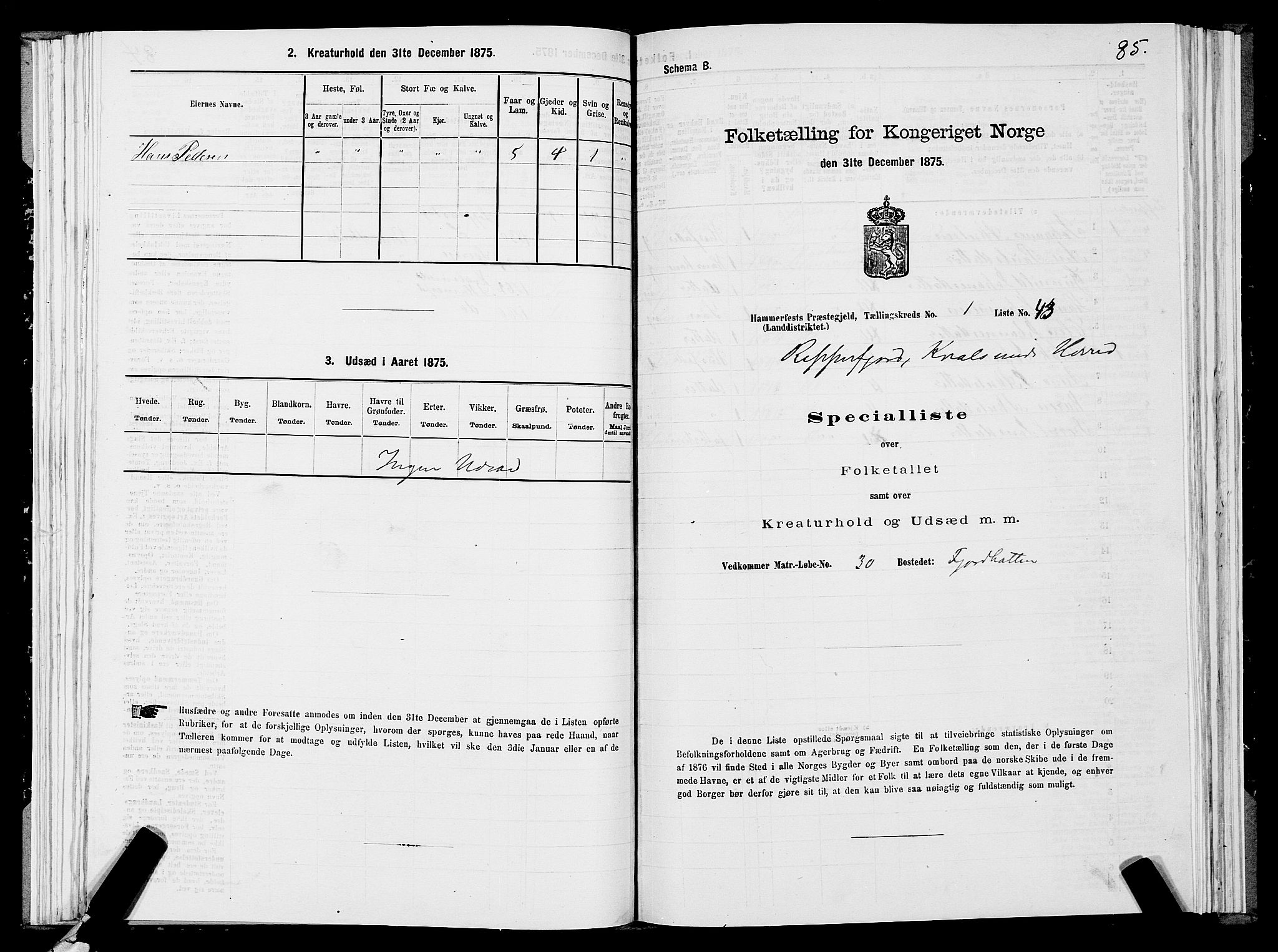 SATØ, Folketelling 1875 for 2016L Hammerfest prestegjeld, Hammerfest landsokn og Kvalsund sokn, 1875, s. 2085