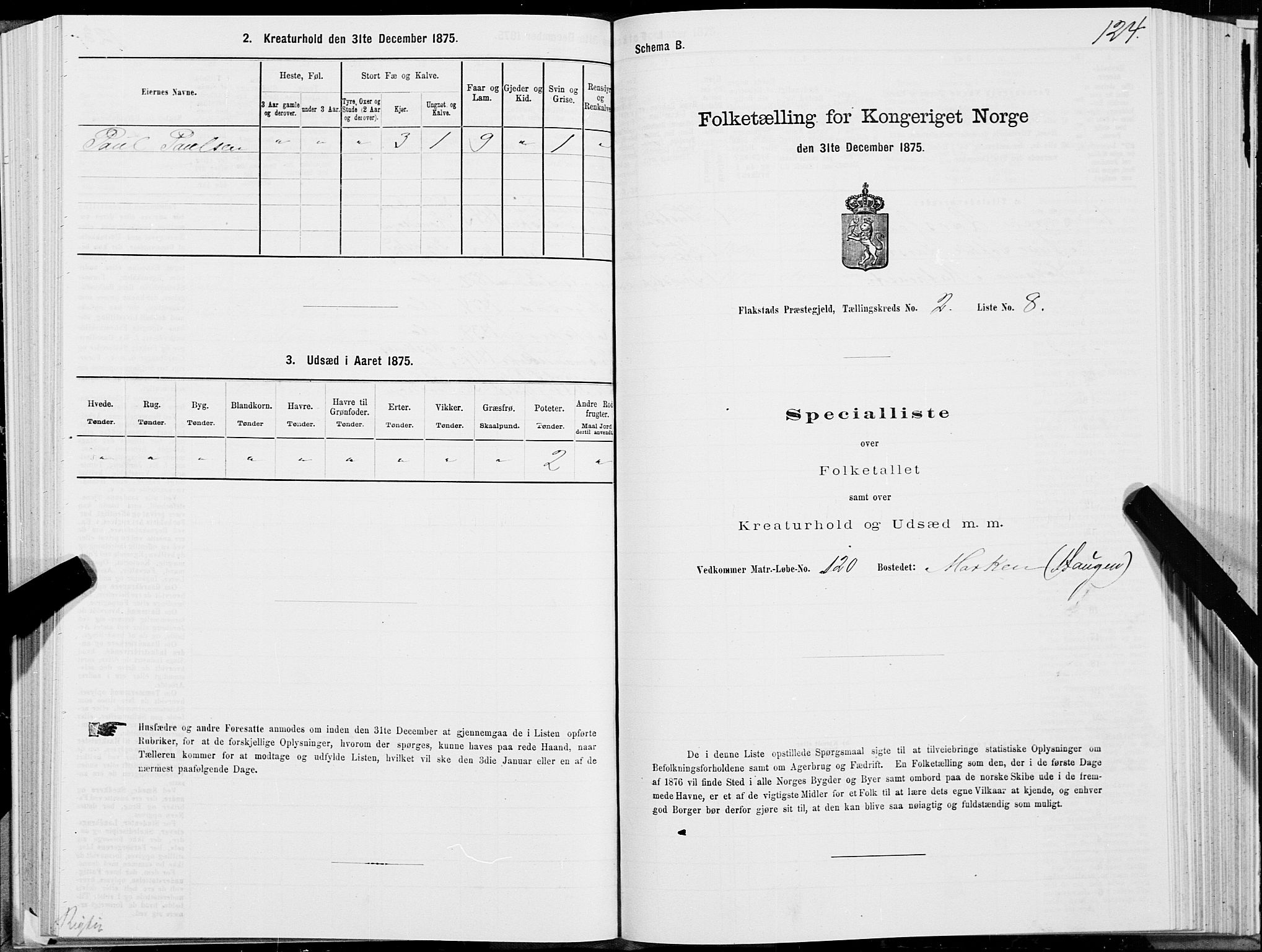 SAT, Folketelling 1875 for 1859P Flakstad prestegjeld, 1875, s. 1124