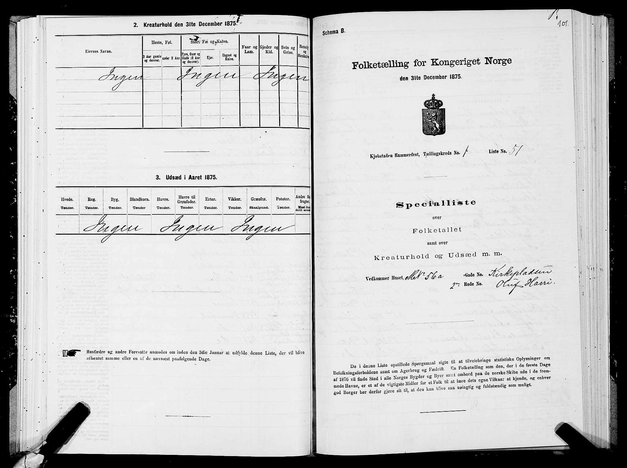 SATØ, Folketelling 1875 for 2001B Hammerfest prestegjeld, Hammerfest kjøpstad, 1875, s. 1101