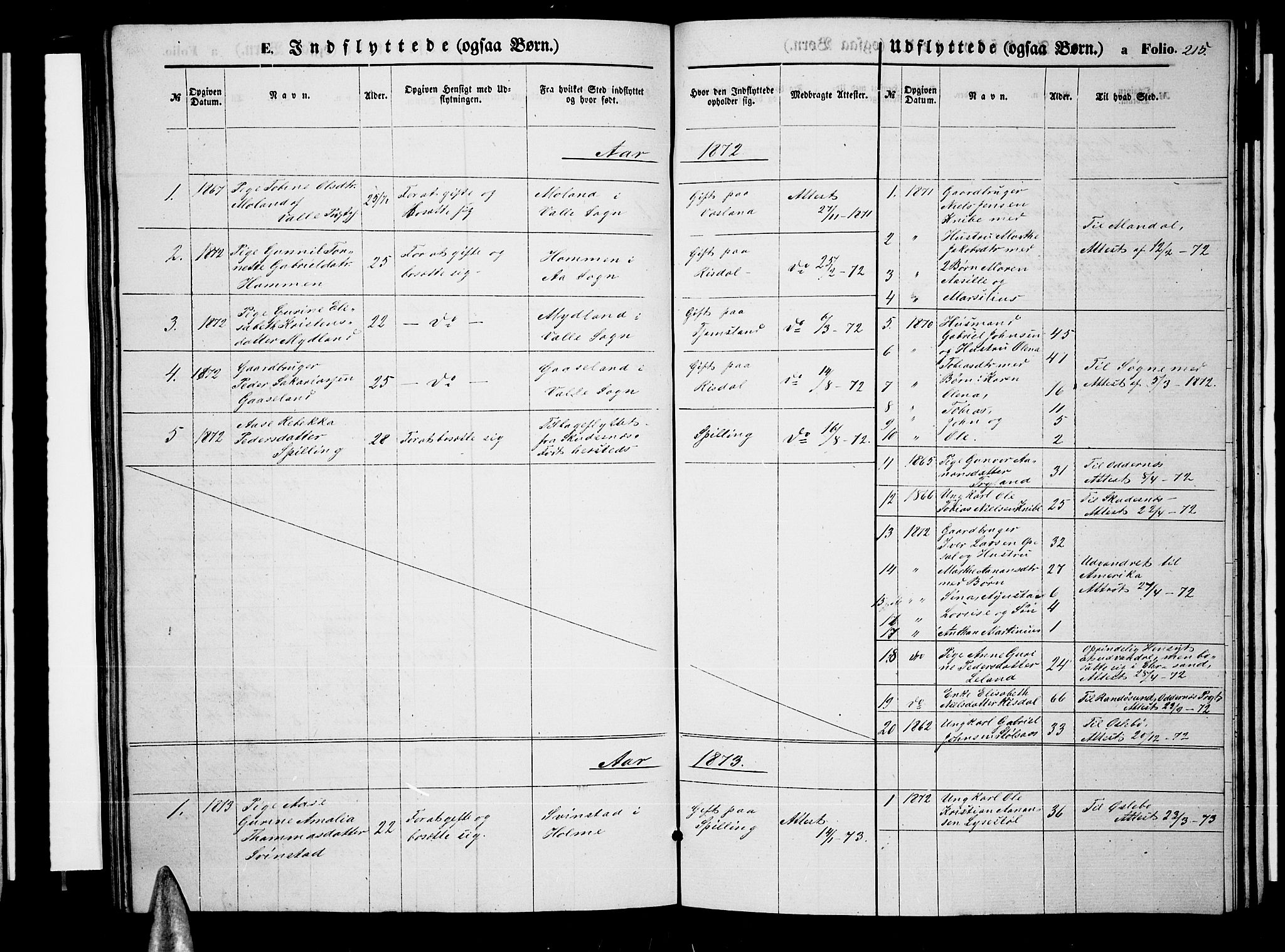 Nord-Audnedal sokneprestkontor, AV/SAK-1111-0032/F/Fb/Fbb/L0002: Klokkerbok nr. B 2, 1859-1882, s. 215