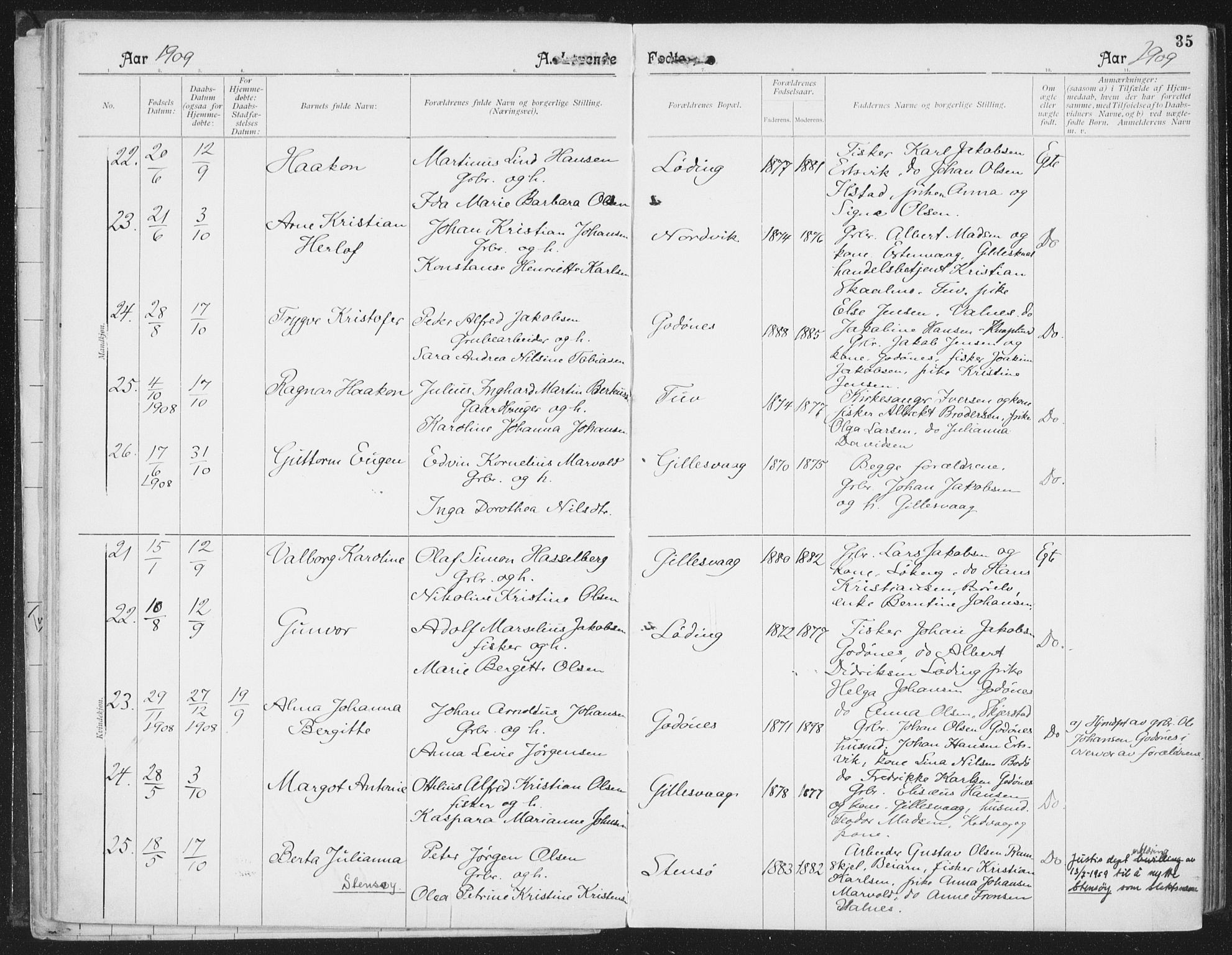 Ministerialprotokoller, klokkerbøker og fødselsregistre - Nordland, AV/SAT-A-1459/804/L0081: Ministerialbok nr. 804A02, 1901-1915, s. 35
