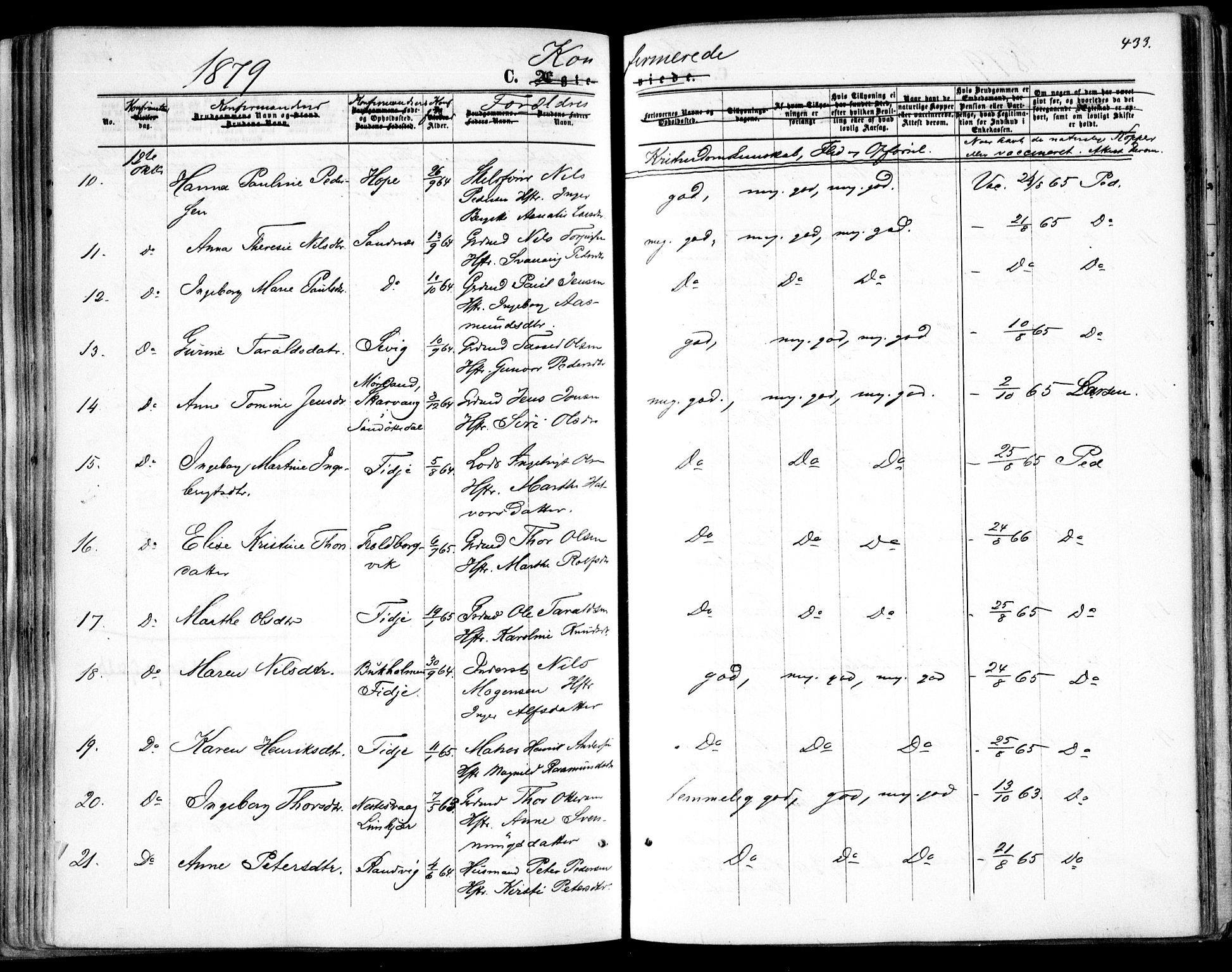 Søndeled sokneprestkontor, AV/SAK-1111-0038/F/Fa/L0003: Ministerialbok nr. A 3, 1861-1879, s. 433