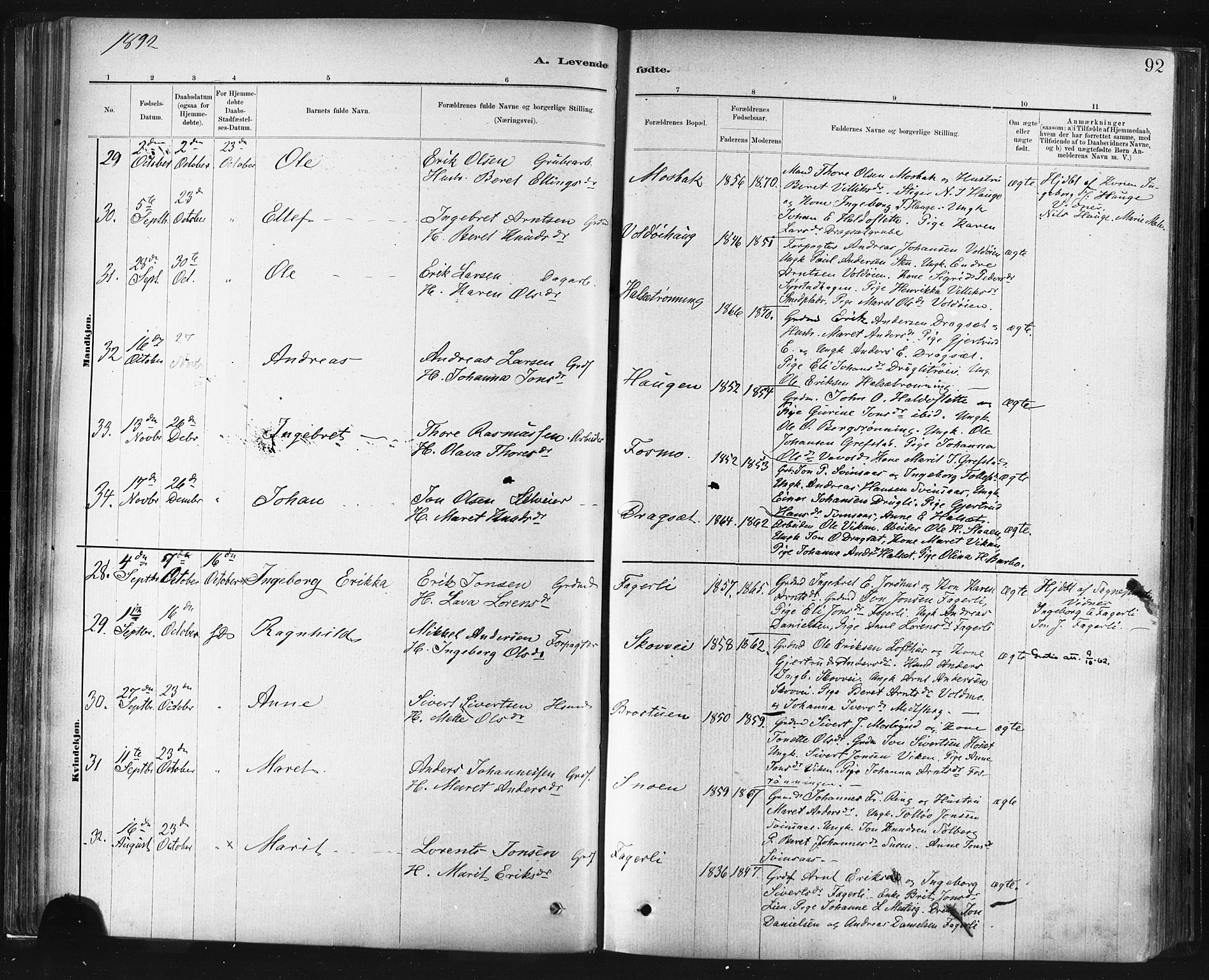 Ministerialprotokoller, klokkerbøker og fødselsregistre - Sør-Trøndelag, SAT/A-1456/672/L0857: Ministerialbok nr. 672A09, 1882-1893, s. 92