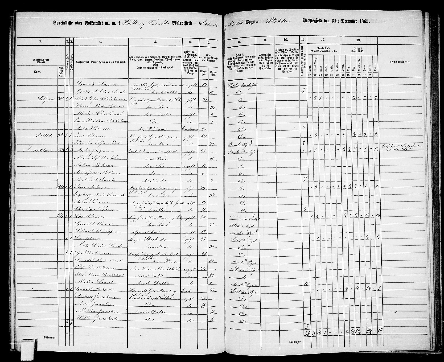 RA, Folketelling 1865 for 0720P Stokke prestegjeld, 1865, s. 174