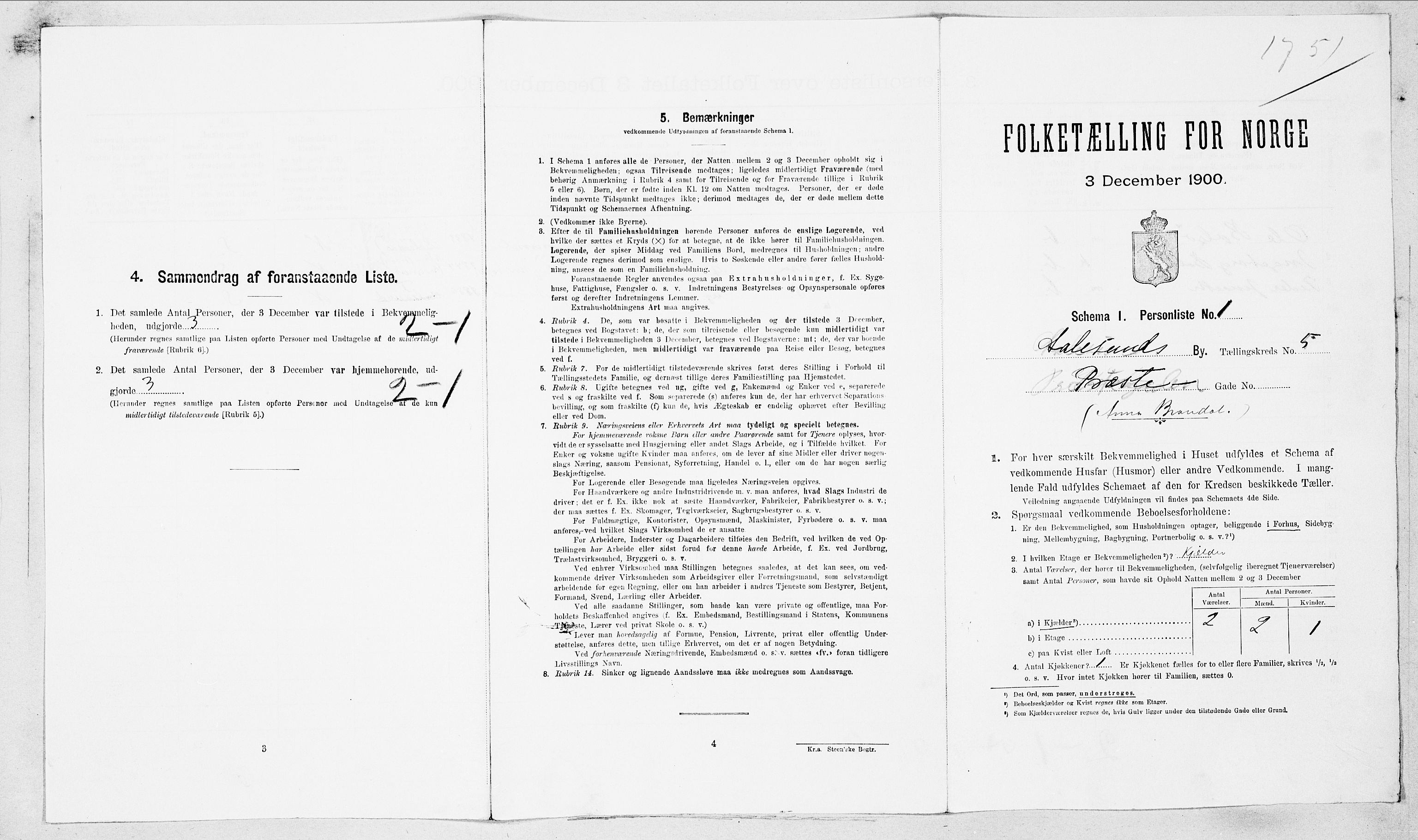 SAT, Folketelling 1900 for 1501 Ålesund kjøpstad, 1900, s. 1165