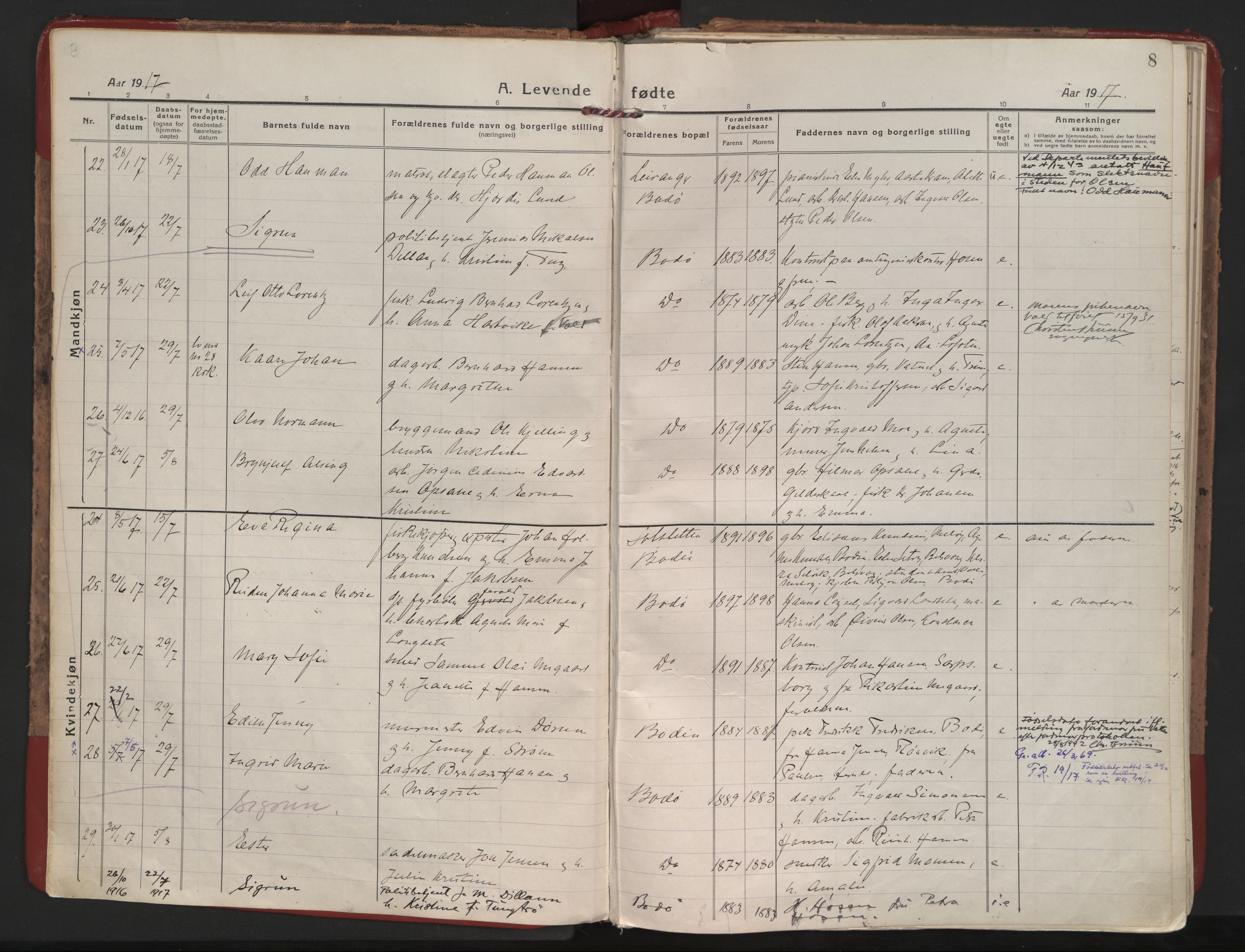 Ministerialprotokoller, klokkerbøker og fødselsregistre - Nordland, AV/SAT-A-1459/801/L0017: Ministerialbok nr. 801A17, 1917-1930, s. 8