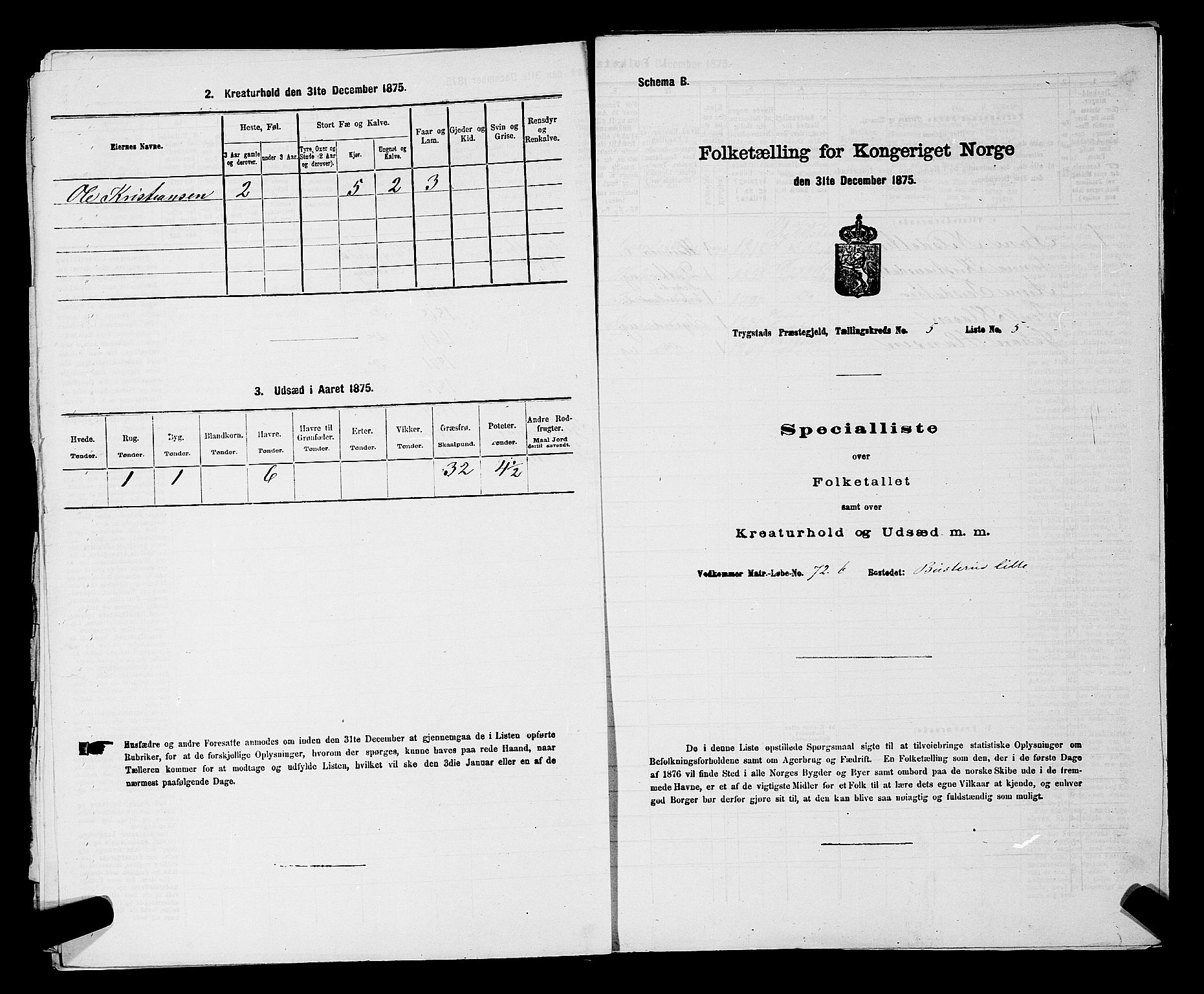 RA, Folketelling 1875 for 0122P Trøgstad prestegjeld, 1875, s. 507