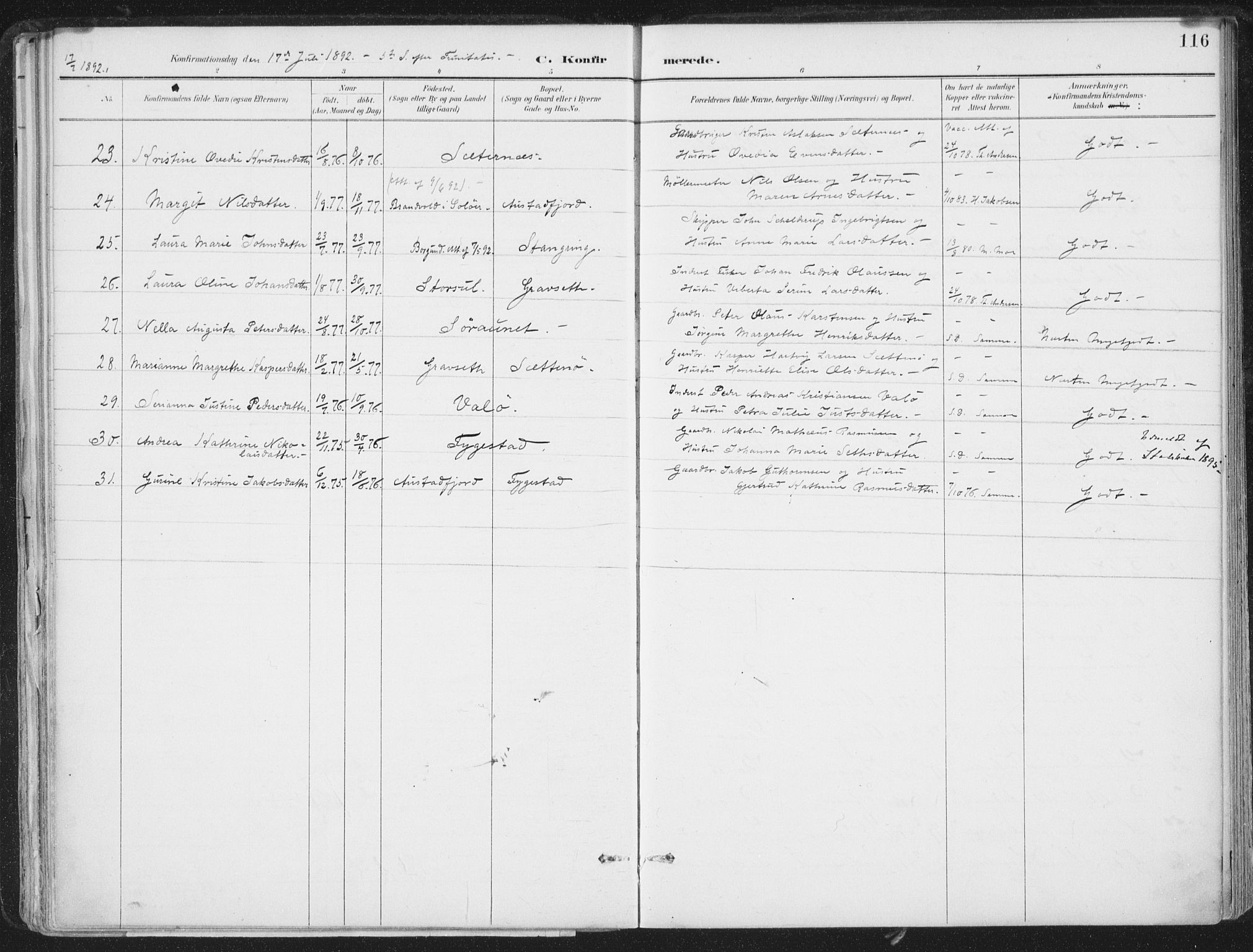 Ministerialprotokoller, klokkerbøker og fødselsregistre - Nord-Trøndelag, SAT/A-1458/786/L0687: Ministerialbok nr. 786A03, 1888-1898, s. 116