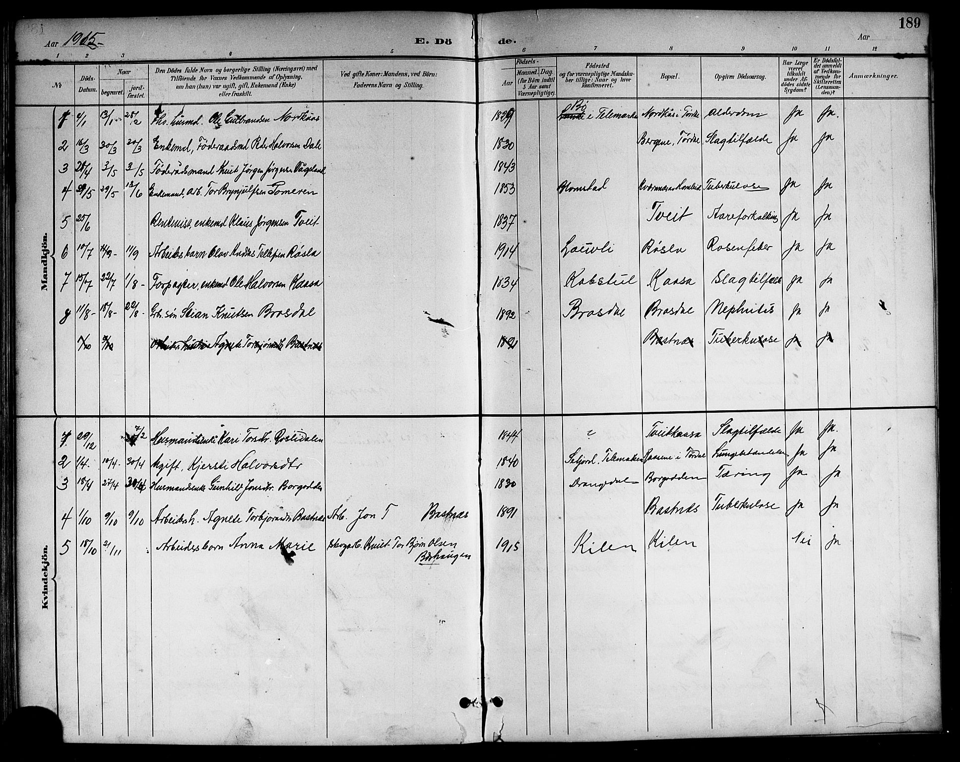 Drangedal kirkebøker, AV/SAKO-A-258/G/Gb/L0002: Klokkerbok nr. II 2, 1895-1918, s. 189