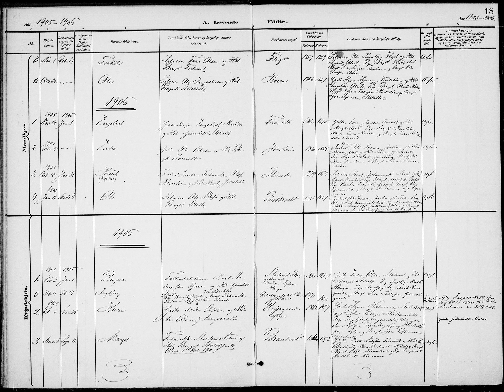 Gol kirkebøker, AV/SAKO-A-226/F/Fb/L0002: Ministerialbok nr. II 2, 1900-1921, s. 18