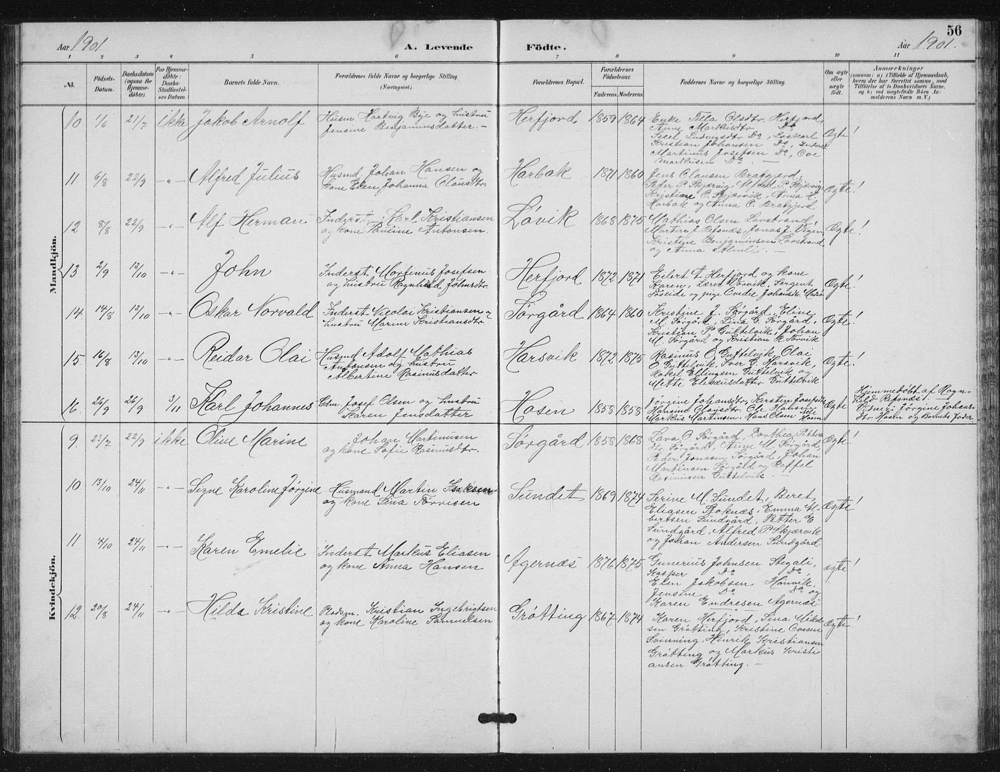 Ministerialprotokoller, klokkerbøker og fødselsregistre - Sør-Trøndelag, SAT/A-1456/656/L0698: Klokkerbok nr. 656C04, 1890-1904, s. 56