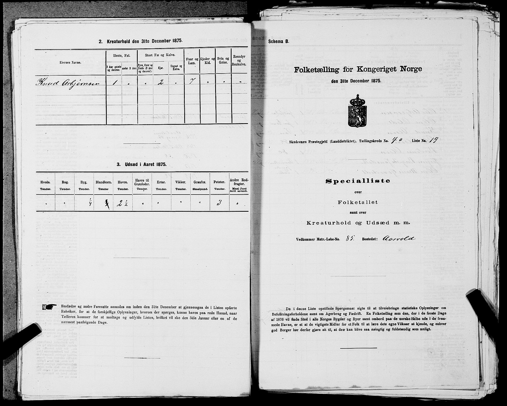 SAST, Folketelling 1875 for 1150L Skudenes prestegjeld, Falnes sokn, Åkra sokn og Ferkingstad sokn, 1875, s. 394