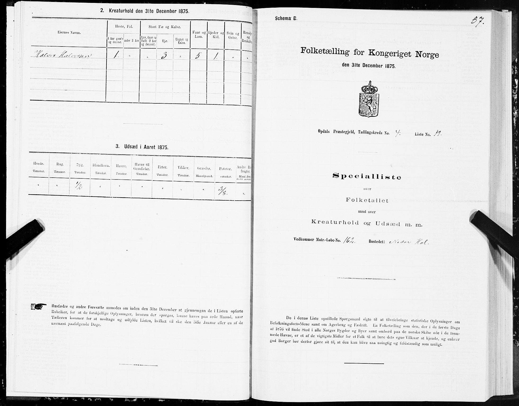 SAT, Folketelling 1875 for 1634P Oppdal prestegjeld, 1875, s. 3037