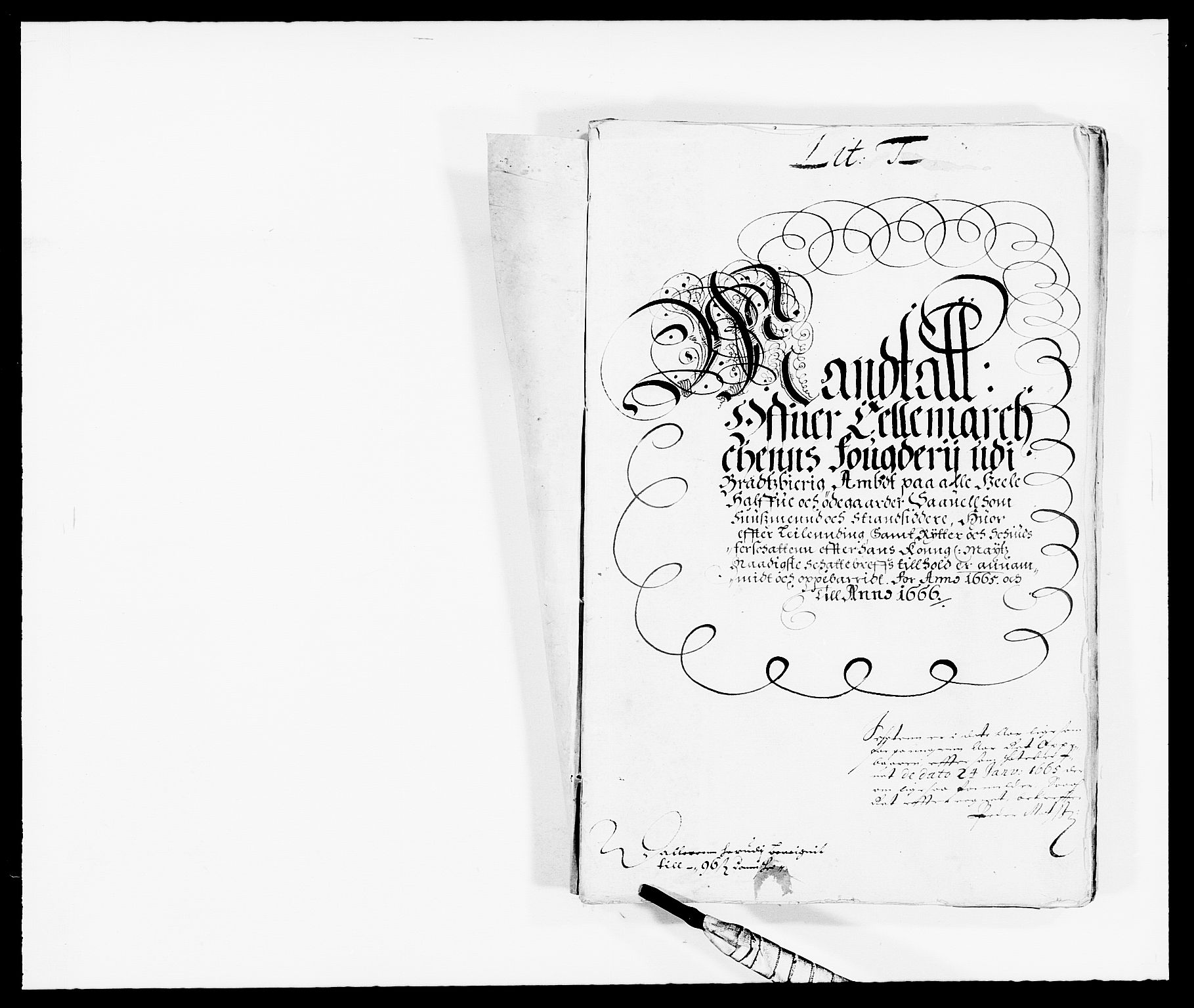 Rentekammeret inntil 1814, Reviderte regnskaper, Fogderegnskap, AV/RA-EA-4092/R35/L2056: Fogderegnskap Øvre og Nedre Telemark, 1665, s. 9