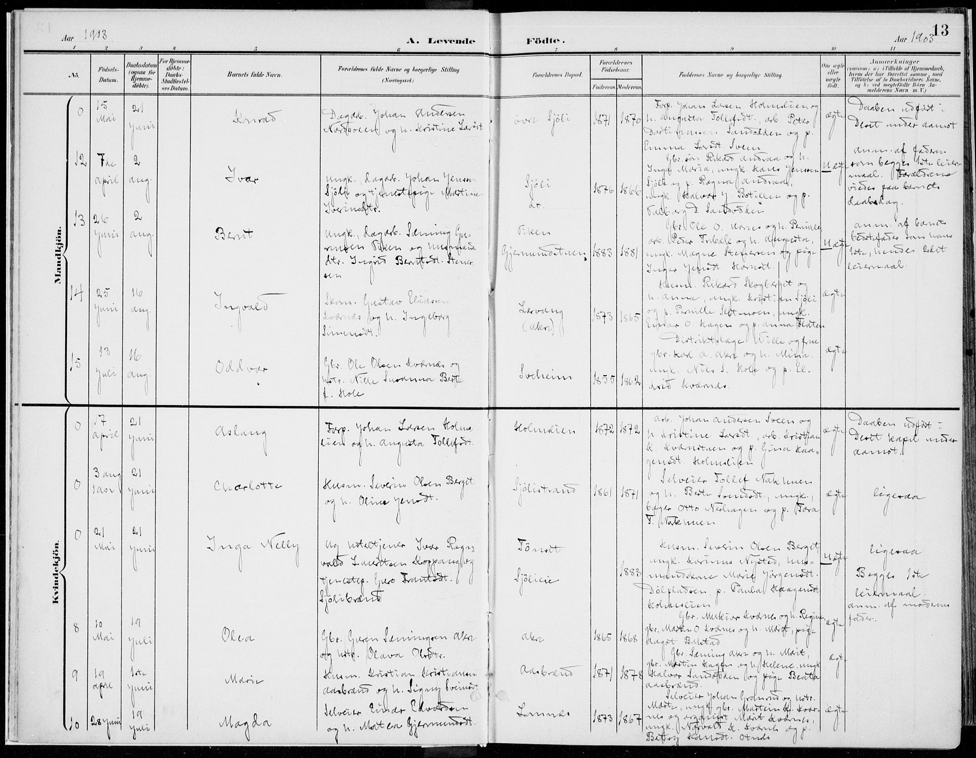 Rendalen prestekontor, AV/SAH-PREST-054/H/Ha/Haa/L0011: Ministerialbok nr. 11, 1901-1925, s. 13