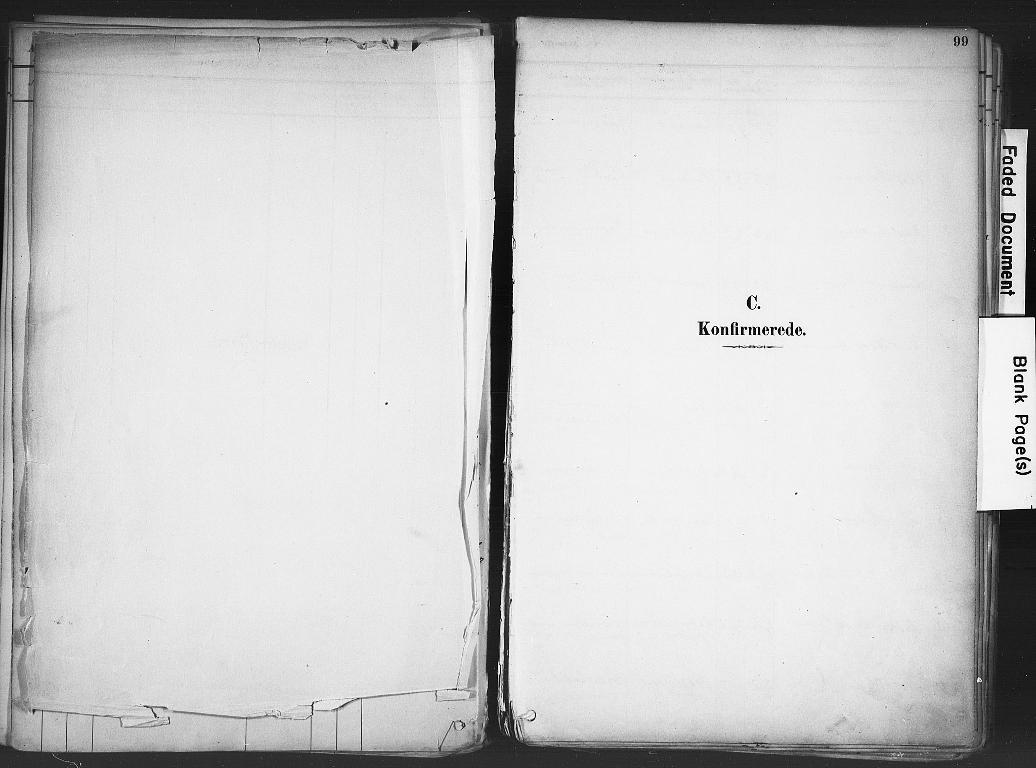 Nord-Odal prestekontor, AV/SAH-PREST-032/H/Ha/Haa/L0006: Ministerialbok nr. 6, 1886-1901, s. 99