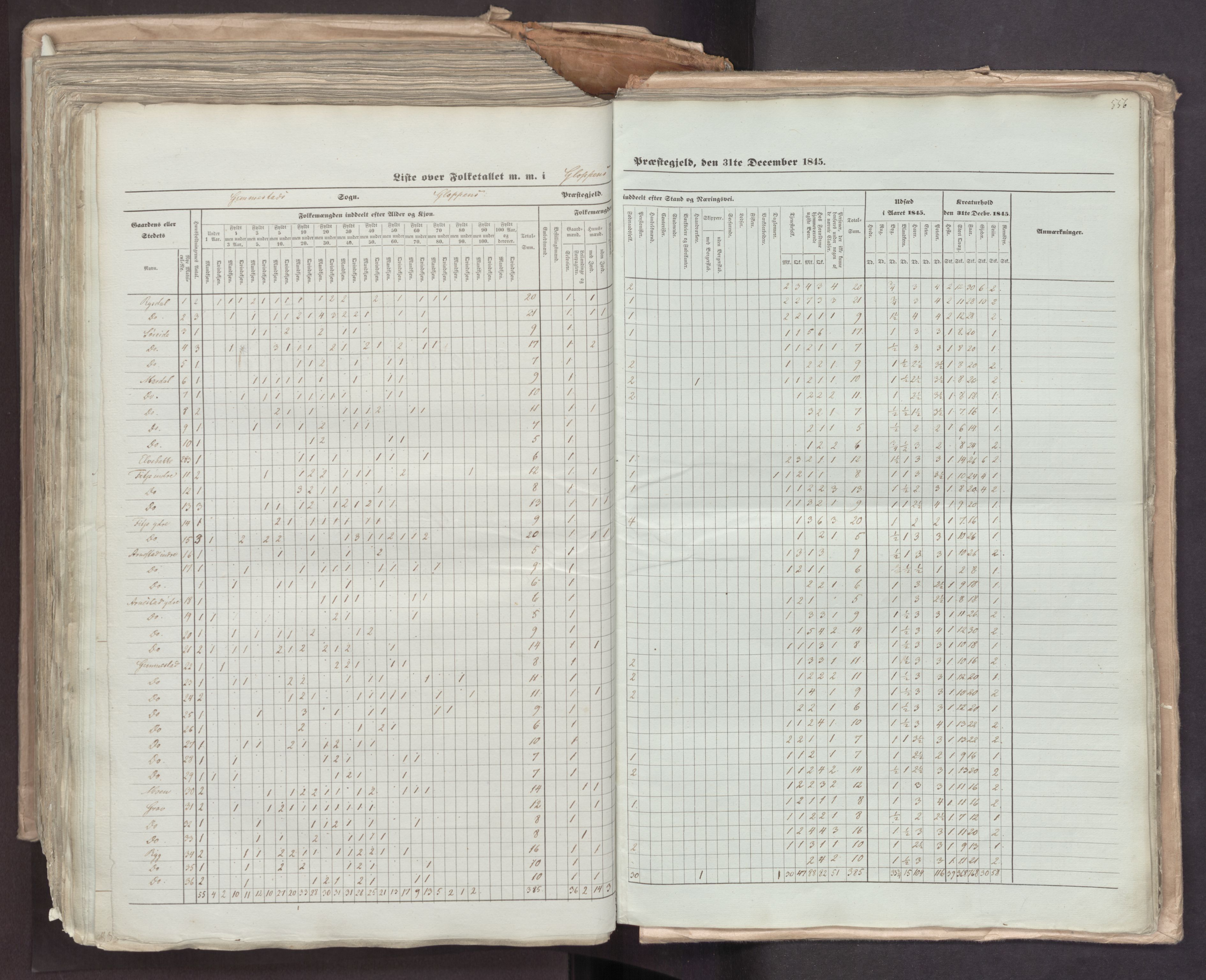 RA, Folketellingen 1845, bind 7: Søndre Bergenhus amt og Nordre Bergenhus amt, 1845, s. 556