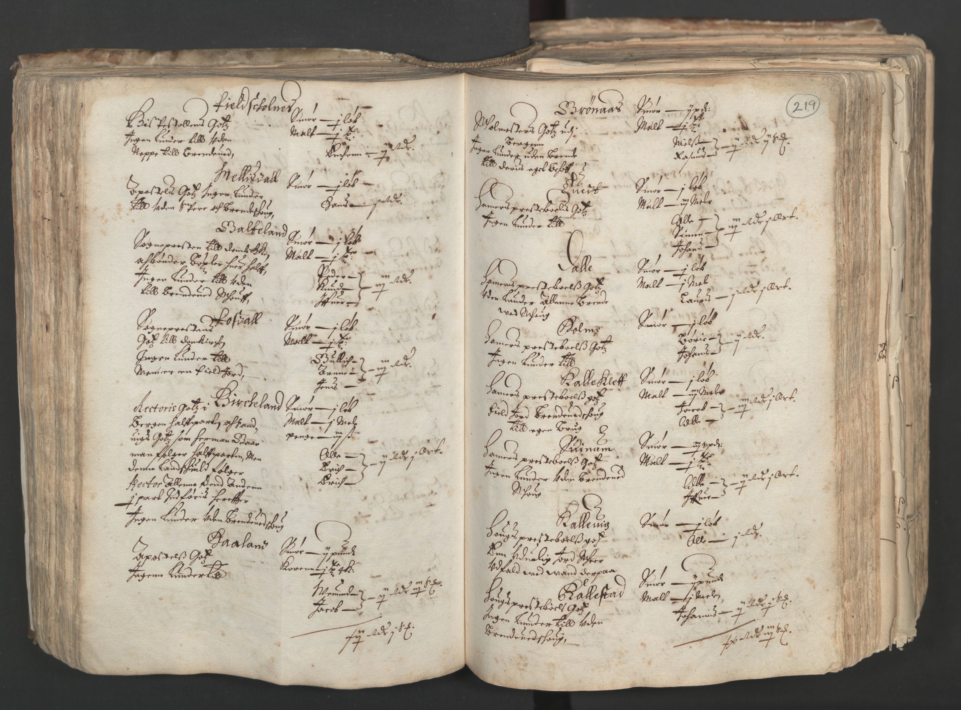 Rentekammeret inntil 1814, Realistisk ordnet avdeling, AV/RA-EA-4070/L/L0024/0001: Bergen lagdømme: / [A]: Alminnelig jordebok og skattemanntall (6 dalers kontribusjonsskatt). Sunnhordland, Hardanger, Nordhordland, Voss, Indre Sogn, Ytre Sogn, Sunnfjord, Nordfjord og Sunnmøre fogderi., 1661, s. 218b-219a
