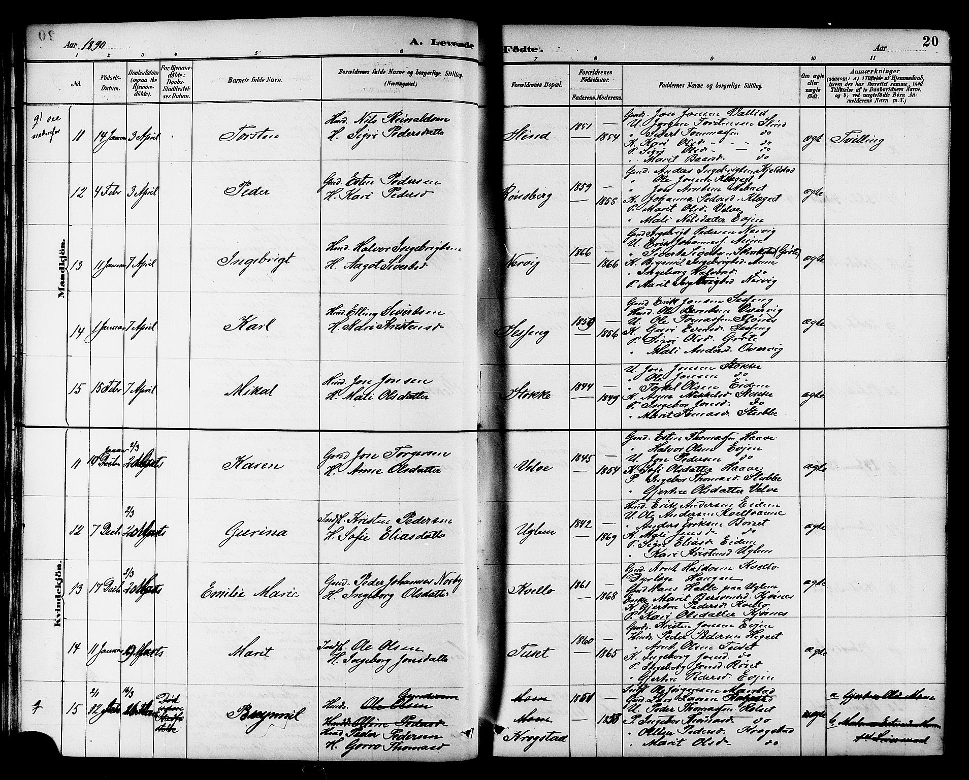 Ministerialprotokoller, klokkerbøker og fødselsregistre - Sør-Trøndelag, AV/SAT-A-1456/695/L1157: Klokkerbok nr. 695C08, 1889-1913, s. 20