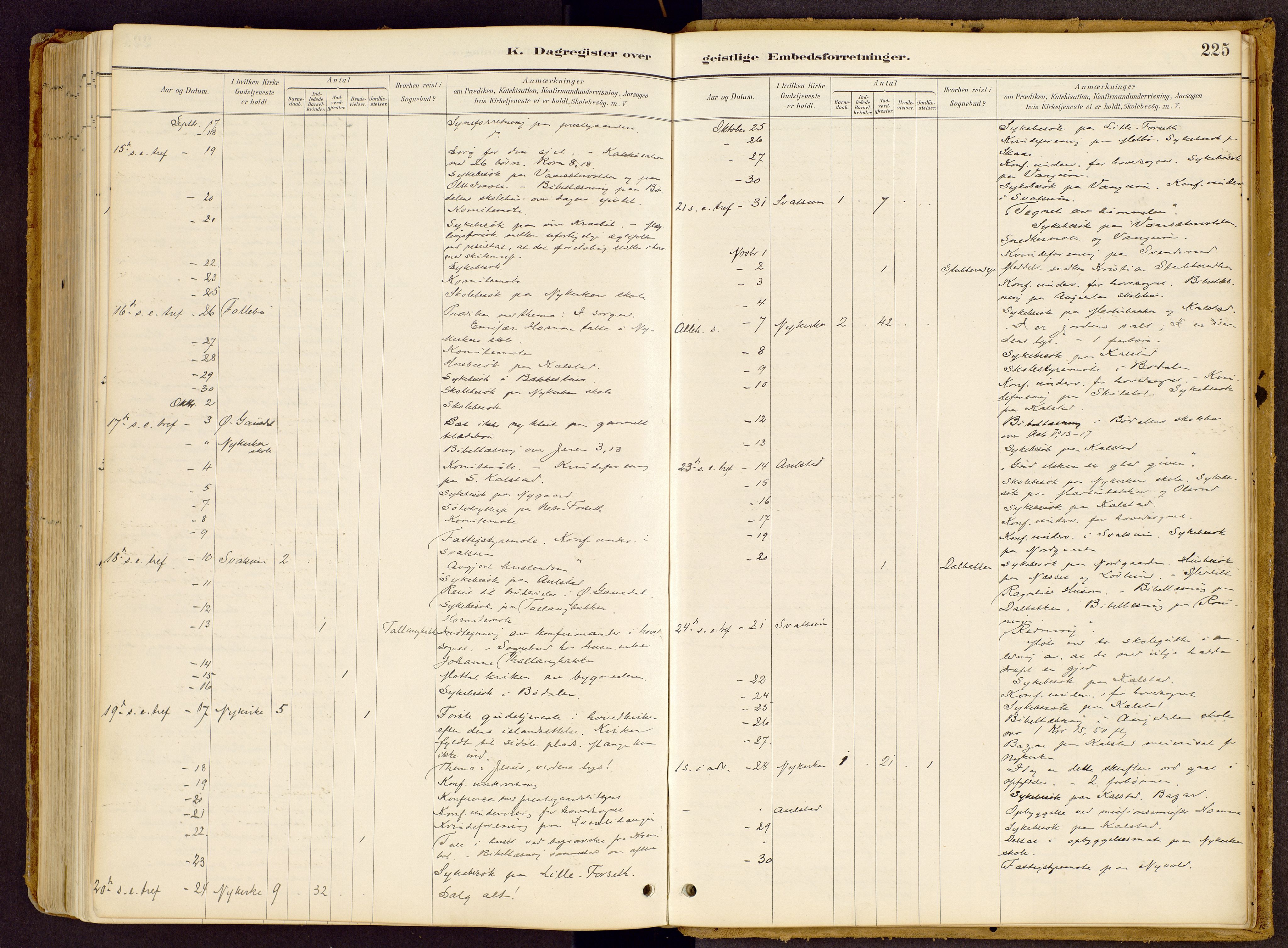 Vestre Gausdal prestekontor, SAH/PREST-094/H/Ha/Haa/L0002: Ministerialbok nr. 2, 1887-1918, s. 225