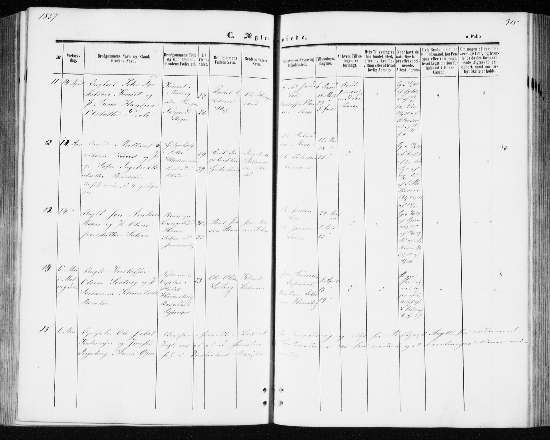 Ministerialprotokoller, klokkerbøker og fødselsregistre - Sør-Trøndelag, SAT/A-1456/606/L0292: Ministerialbok nr. 606A07, 1856-1865, s. 315