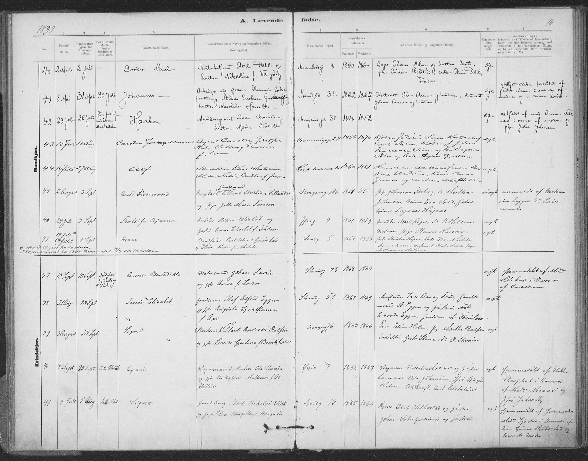 Ministerialprotokoller, klokkerbøker og fødselsregistre - Sør-Trøndelag, SAT/A-1456/602/L0122: Ministerialbok nr. 602A20, 1892-1908, s. 16