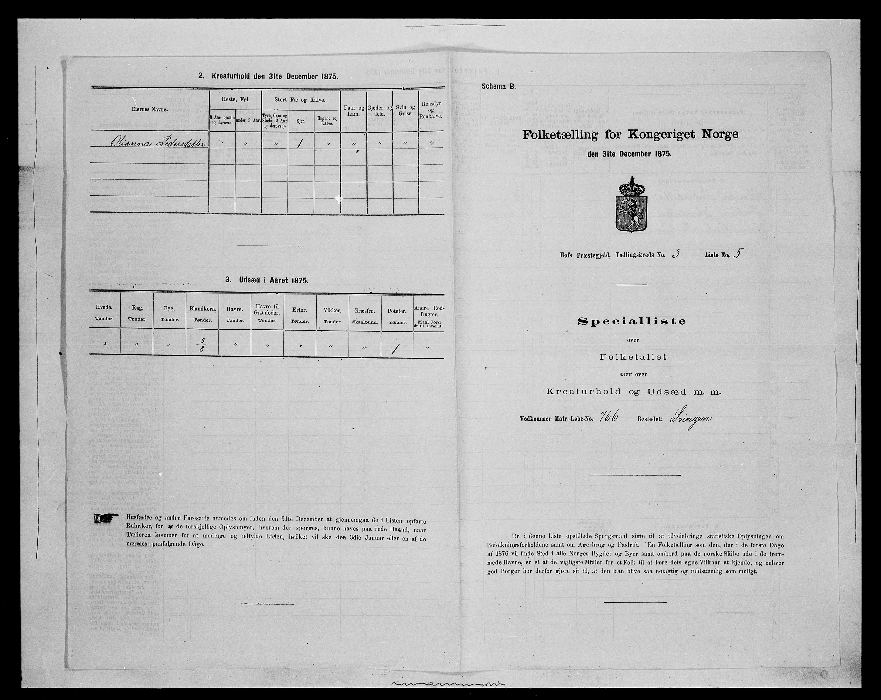 SAH, Folketelling 1875 for 0424P Hof prestegjeld, 1875, s. 491