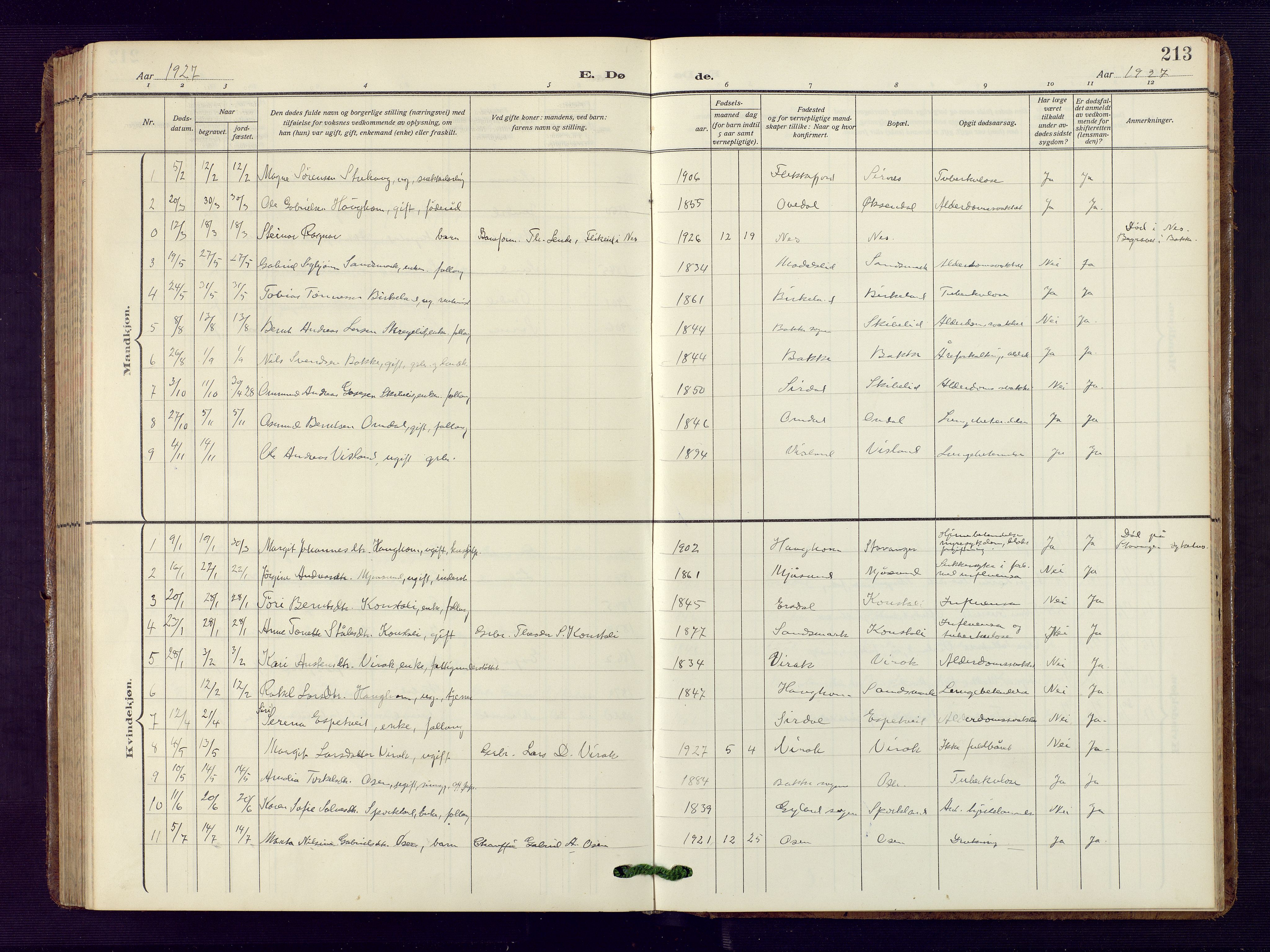 Bakke sokneprestkontor, AV/SAK-1111-0002/F/Fb/Fba/L0004: Klokkerbok nr. B 4, 1911-1946, s. 213