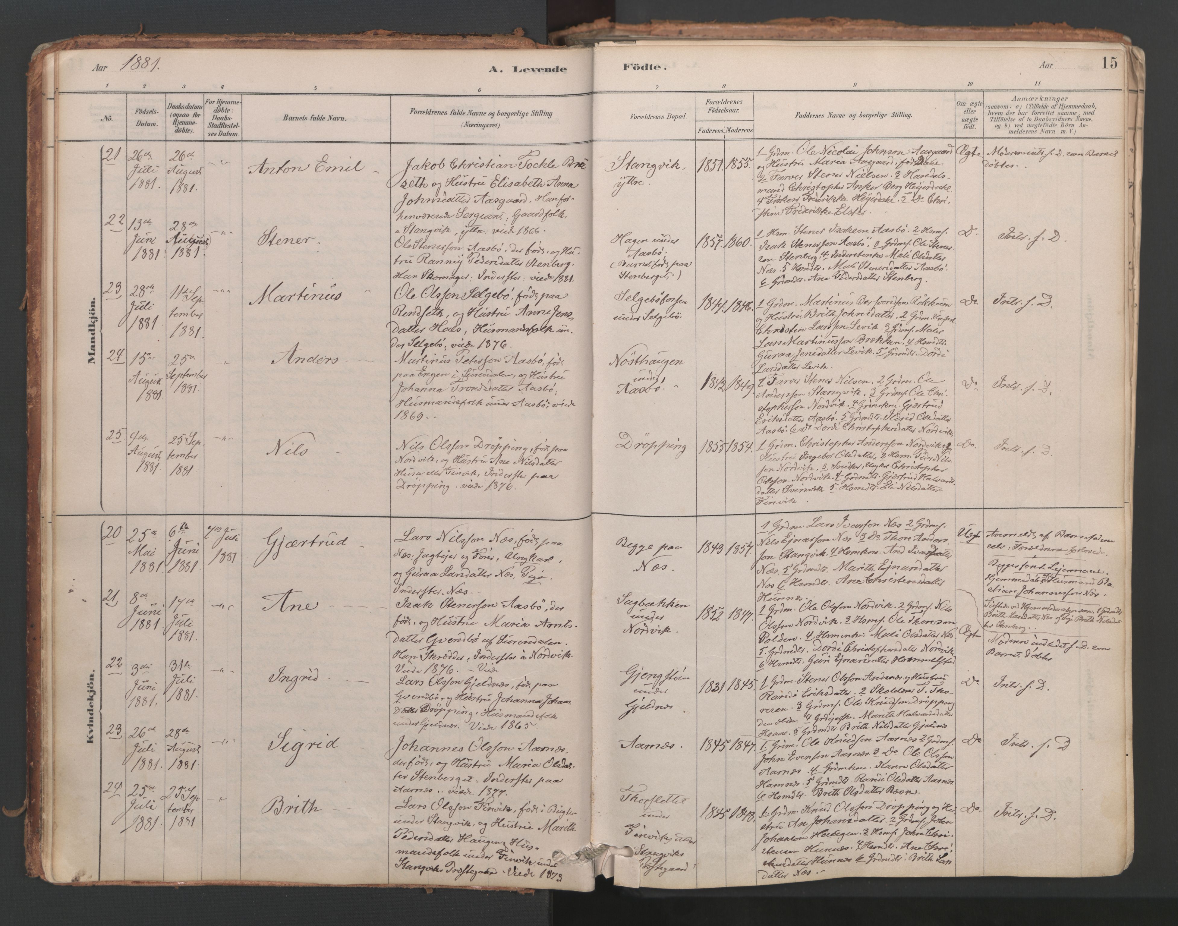 Ministerialprotokoller, klokkerbøker og fødselsregistre - Møre og Romsdal, AV/SAT-A-1454/592/L1029: Ministerialbok nr. 592A07, 1879-1902, s. 15