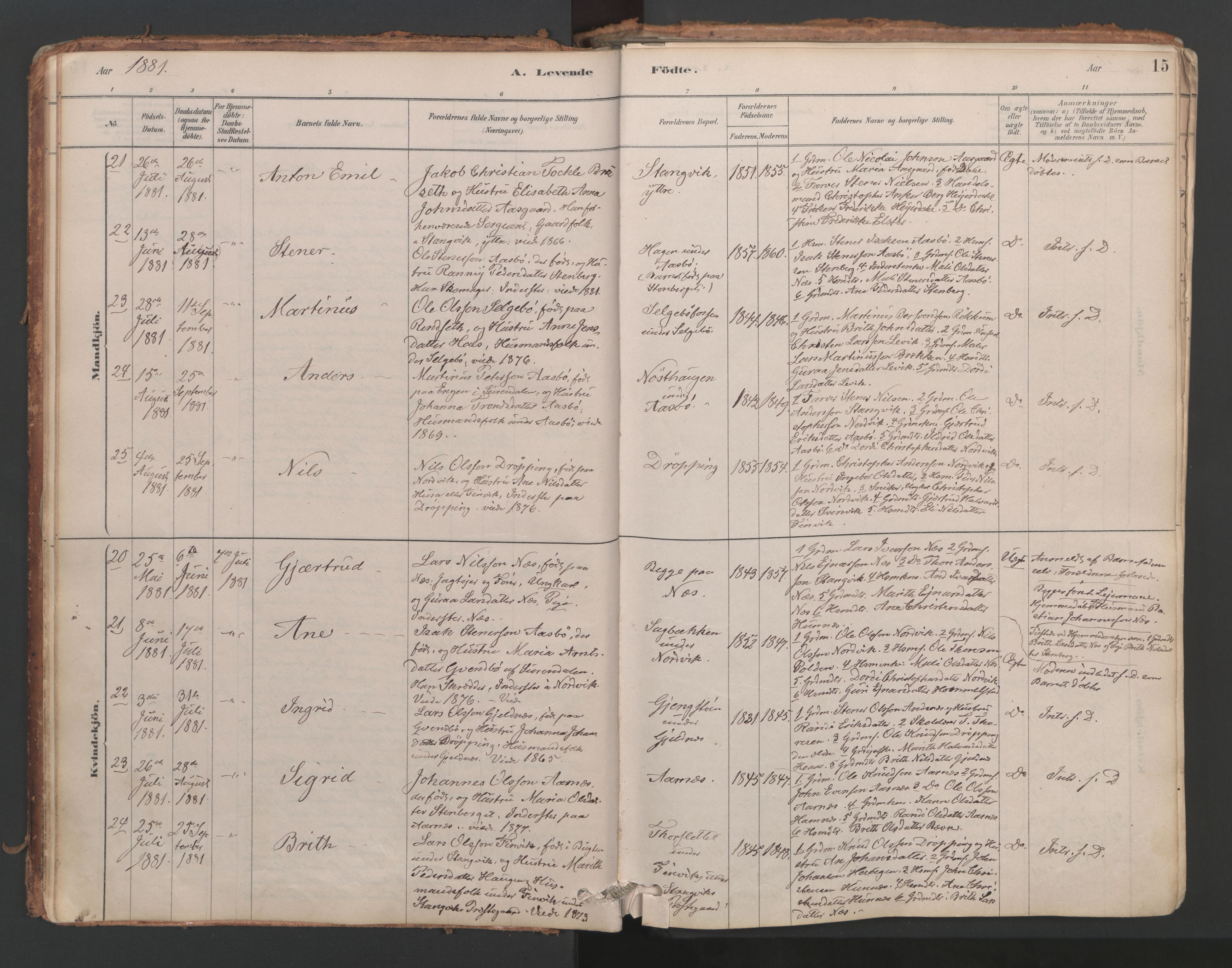 Ministerialprotokoller, klokkerbøker og fødselsregistre - Møre og Romsdal, SAT/A-1454/592/L1029: Ministerialbok nr. 592A07, 1879-1902, s. 15