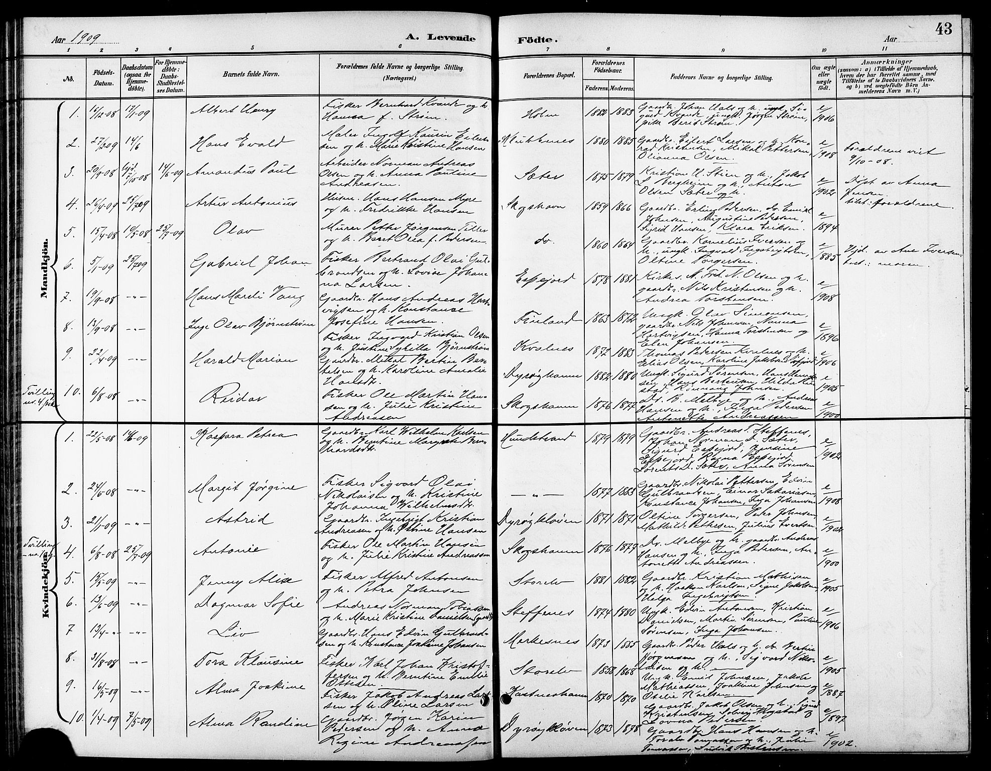Tranøy sokneprestkontor, AV/SATØ-S-1313/I/Ia/Iab/L0014klokker: Klokkerbok nr. 14, 1896-1918, s. 43