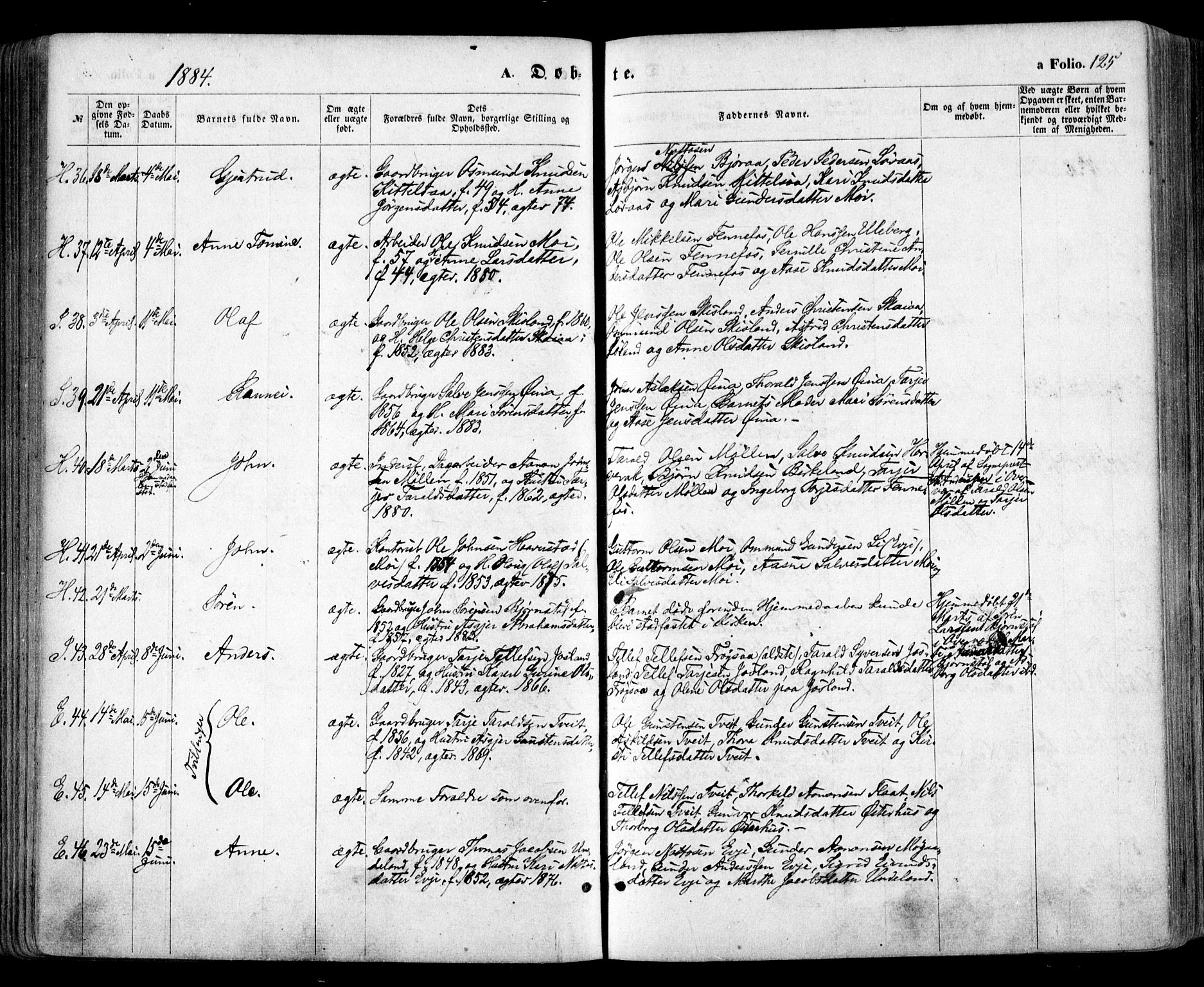 Evje sokneprestkontor, AV/SAK-1111-0008/F/Fa/Faa/L0006: Ministerialbok nr. A 6, 1866-1884, s. 125
