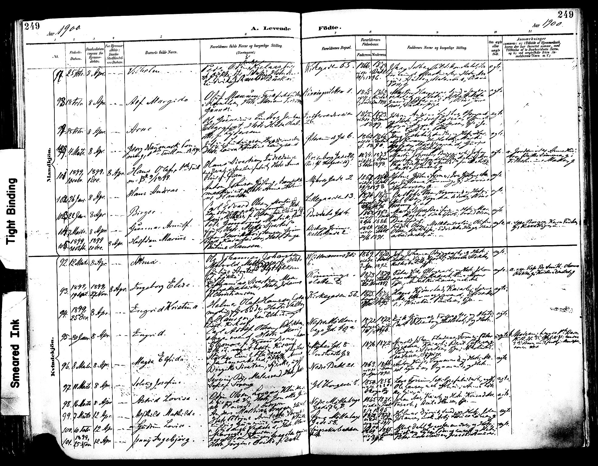 Ministerialprotokoller, klokkerbøker og fødselsregistre - Sør-Trøndelag, SAT/A-1456/604/L0197: Ministerialbok nr. 604A18, 1893-1900, s. 249