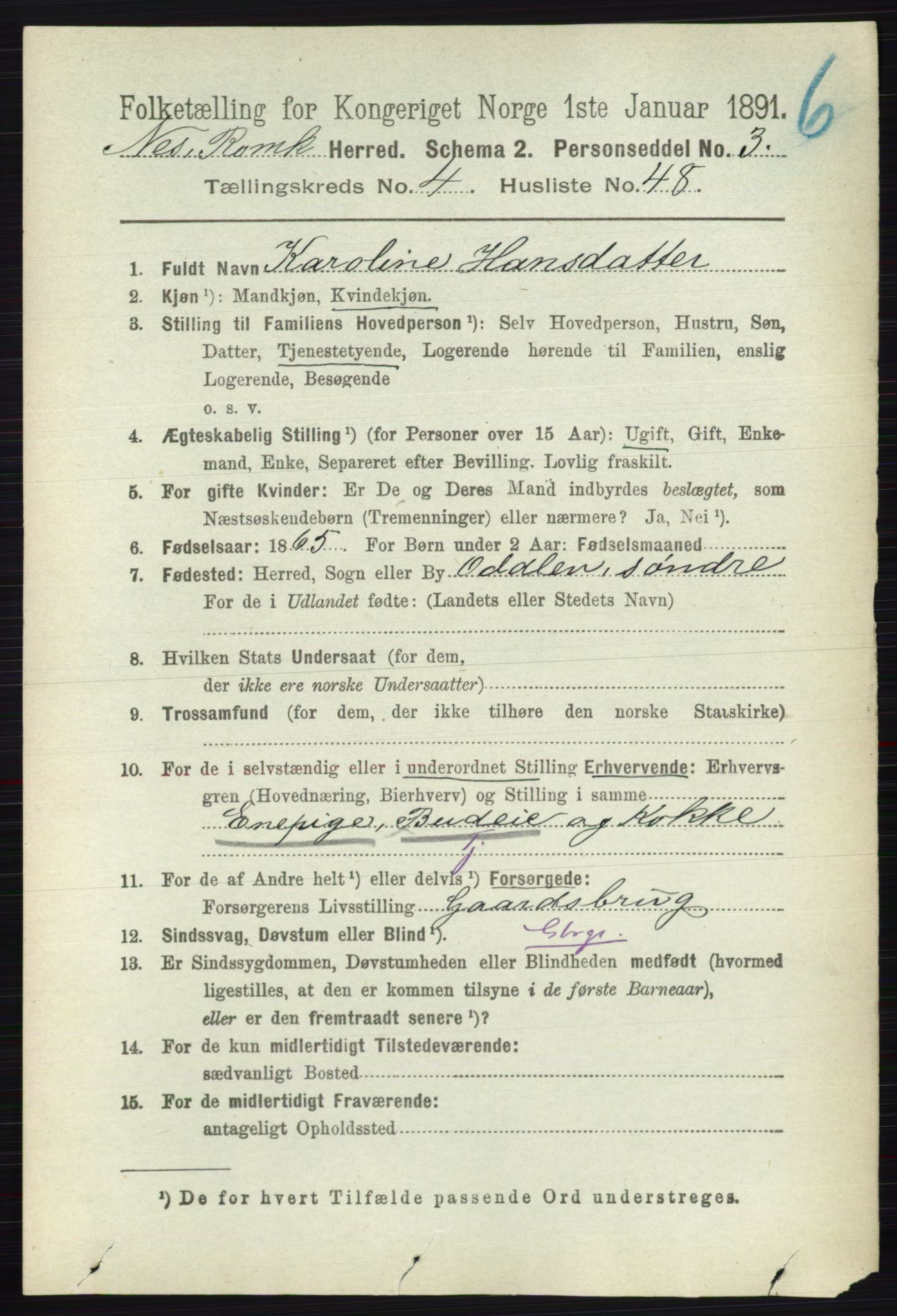 RA, Folketelling 1891 for 0236 Nes herred, 1891, s. 2532